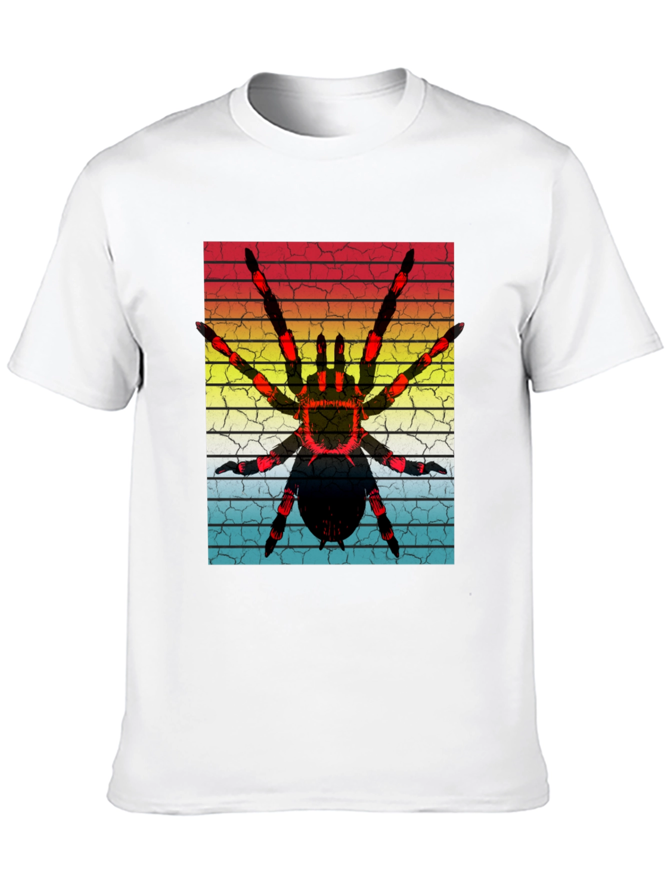 Black Vintage Spider Graphic T-Shirt view 10