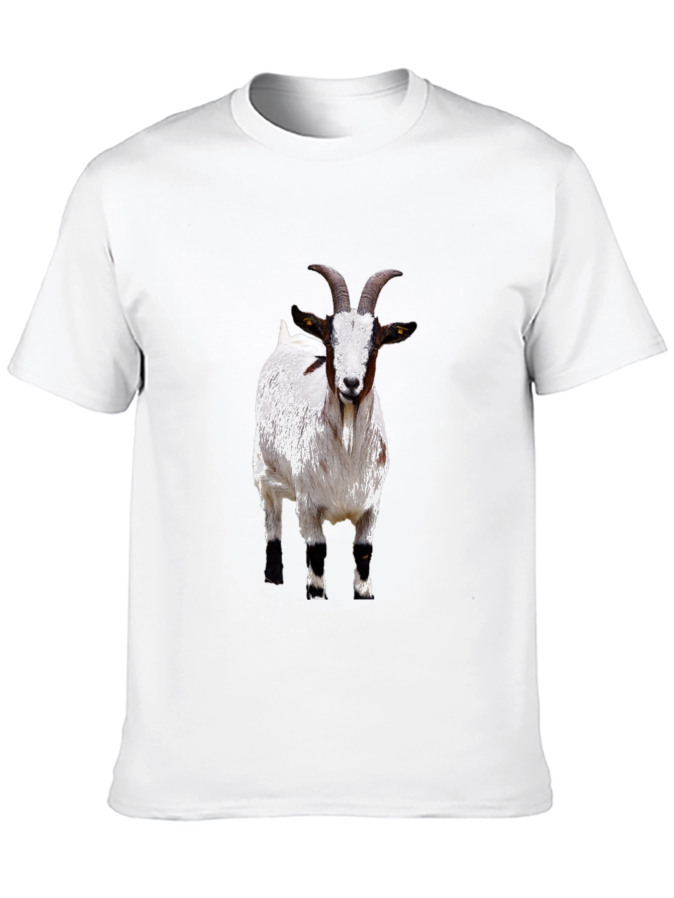 Black Goat Graphic Tee - Black Cotton T-Shirt view 10