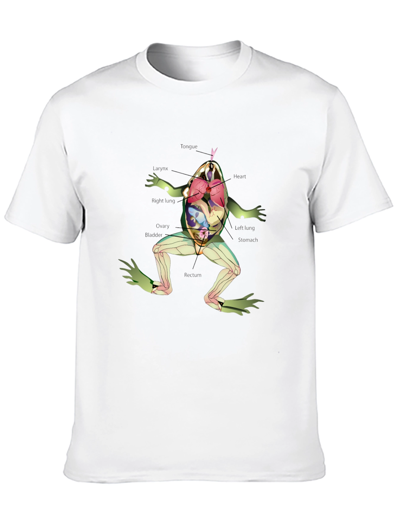 Black Anatomy Frog T-Shirt view 10