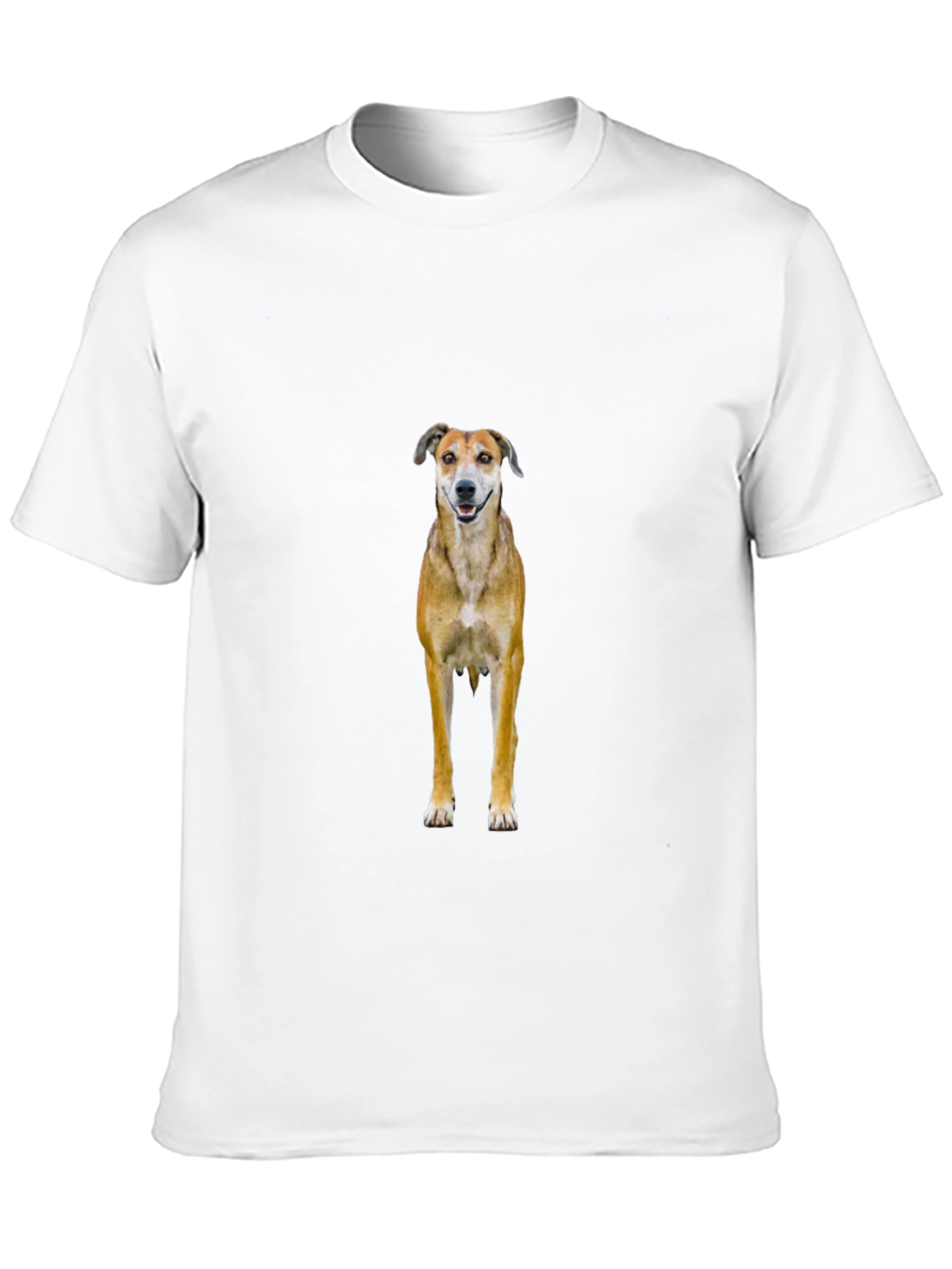 Black Dog Graphic Black T-Shirt view 10