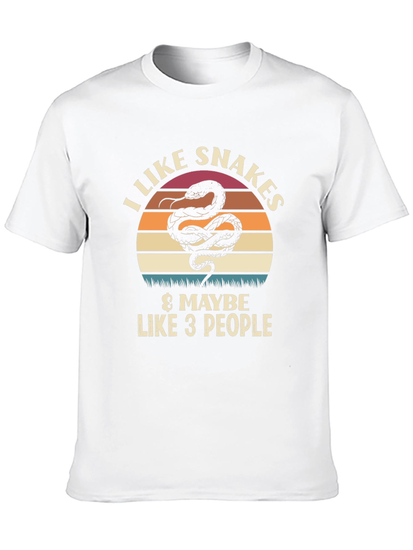 Black I Like Snakes & Maybe Like 3 People Graphic T-Shirt view 10