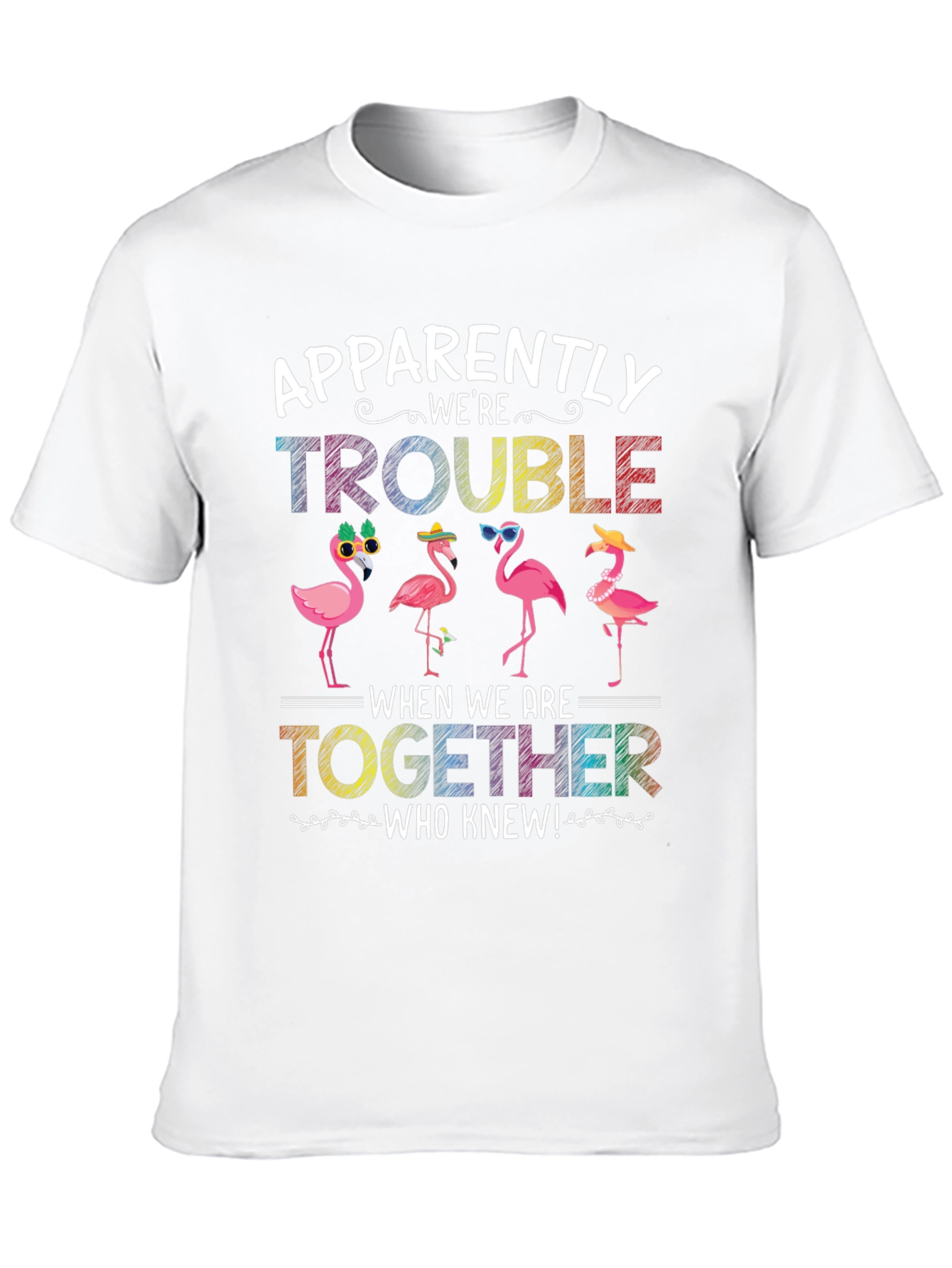 Black Flamingo Trouble Graphic T-Shirt view 10
