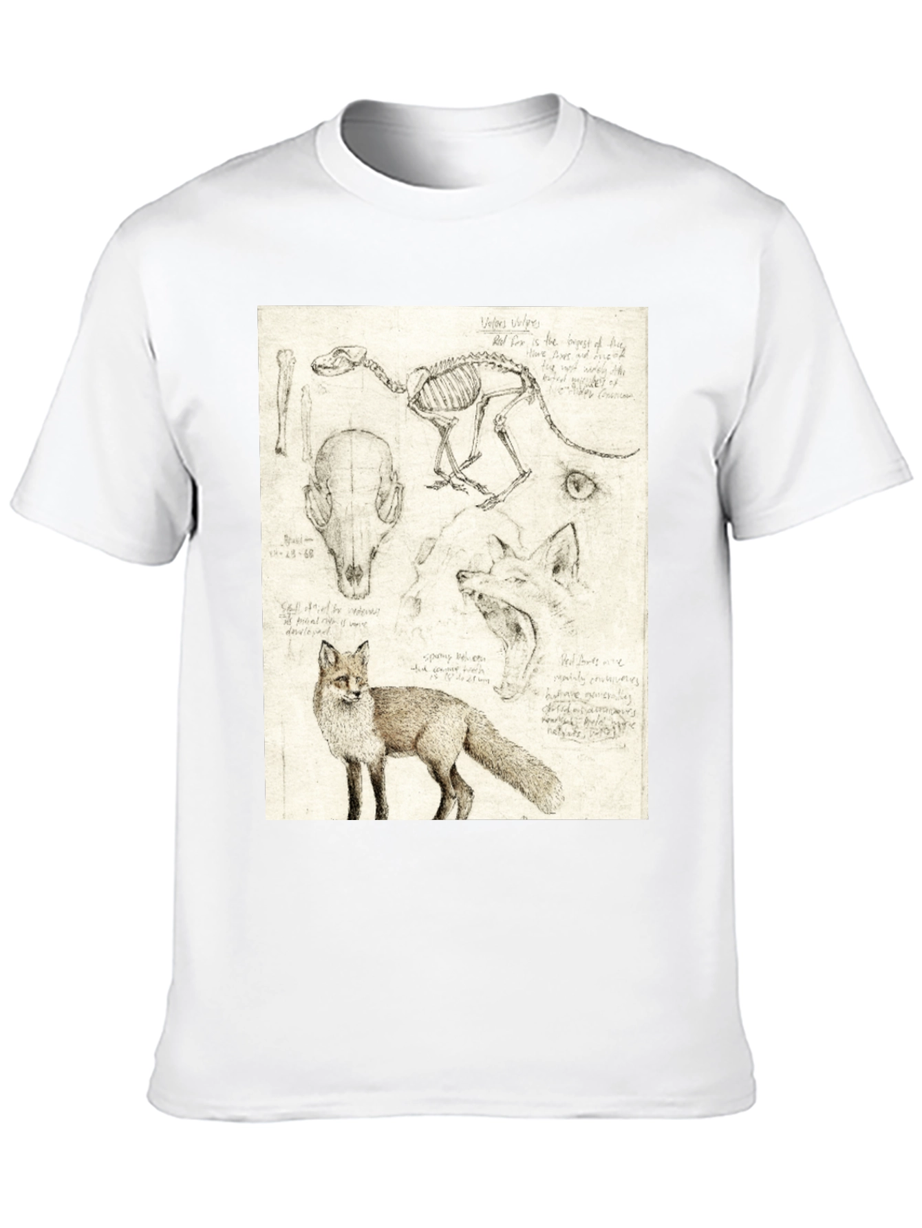 Black Anatomical Fox Print Tee - Artistic Unisex T-Shirt view 10