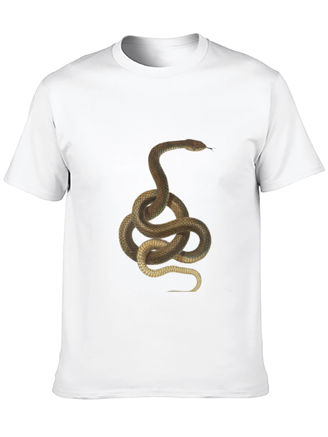 Black Snake Graphic Print T-Shirt - Classic Black Tee view 10