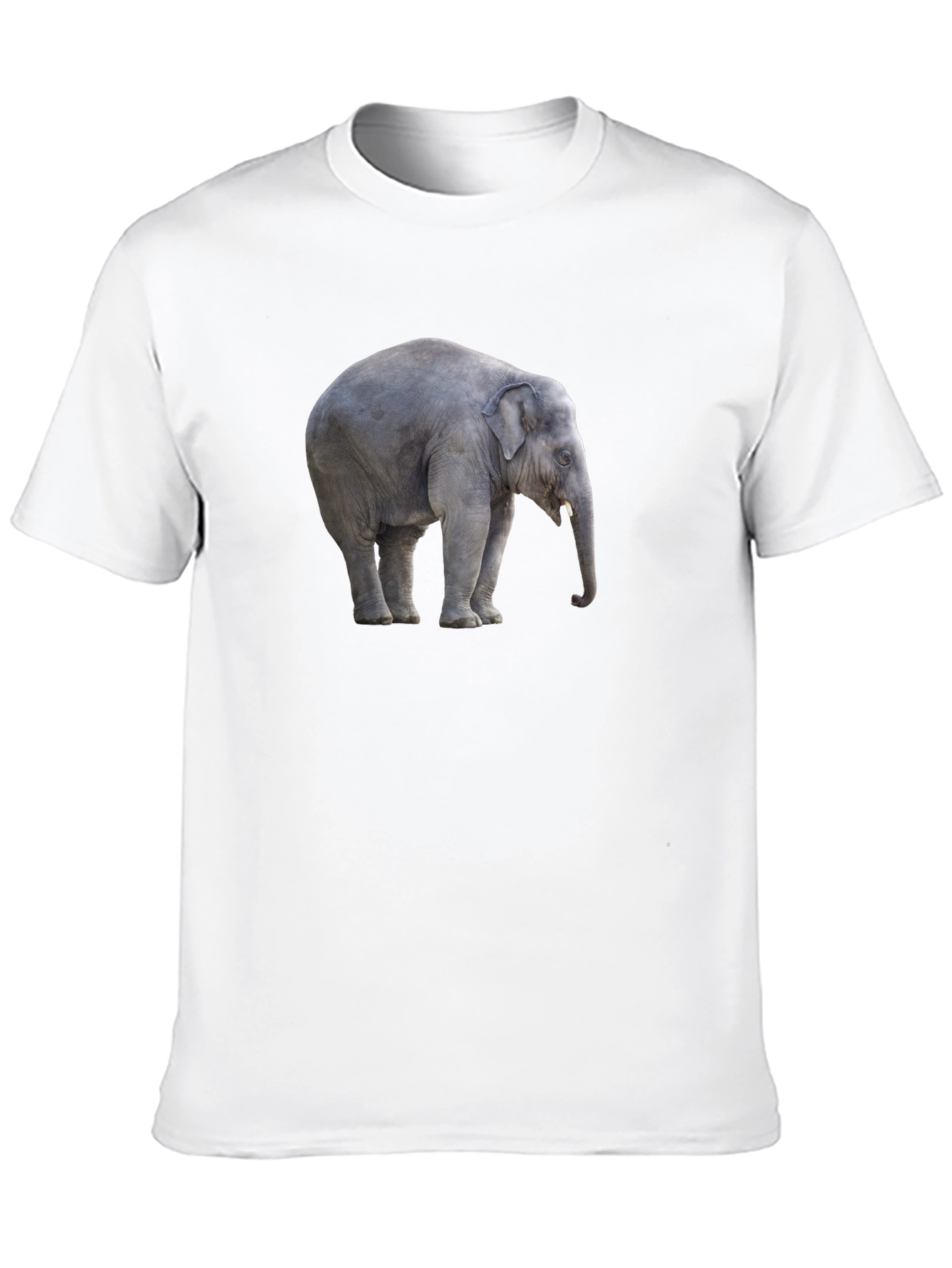 Black Elephant Graphic Tee - Stylish Black Cotton T-Shirt view 10