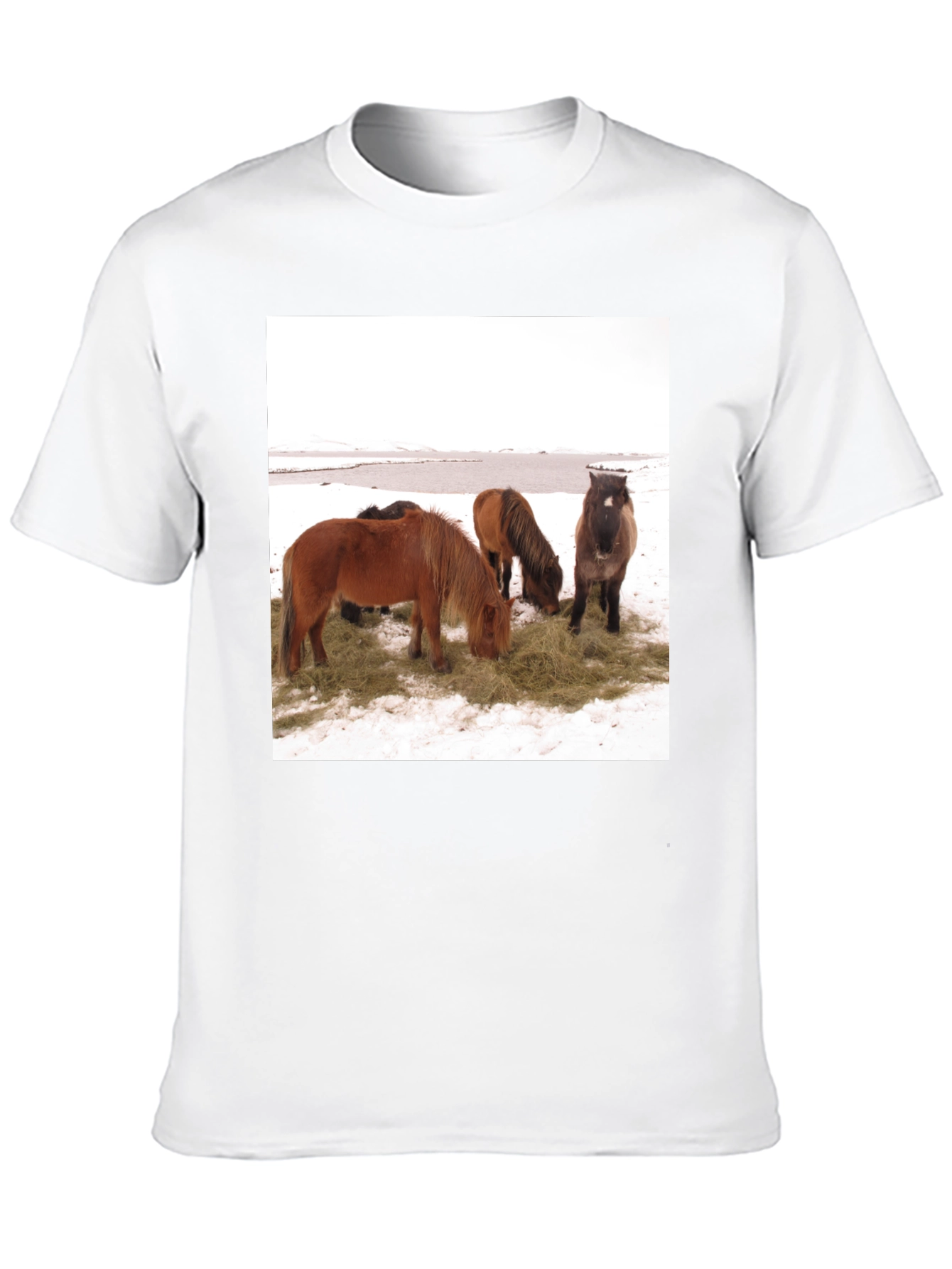 Black Horse Scene Graphic Tee - Unisex Black T-Shirt view 10
