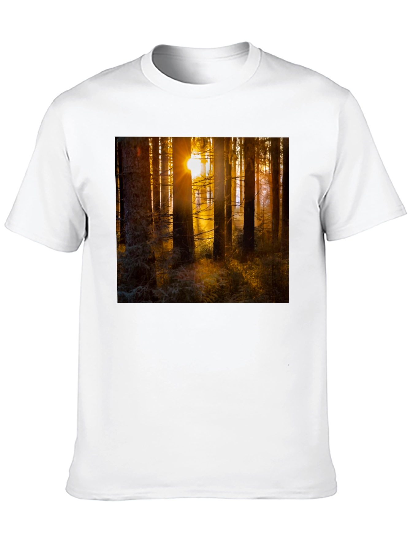 Black Forest Sun T-Shirt - Nature Inspired Apparel view 10