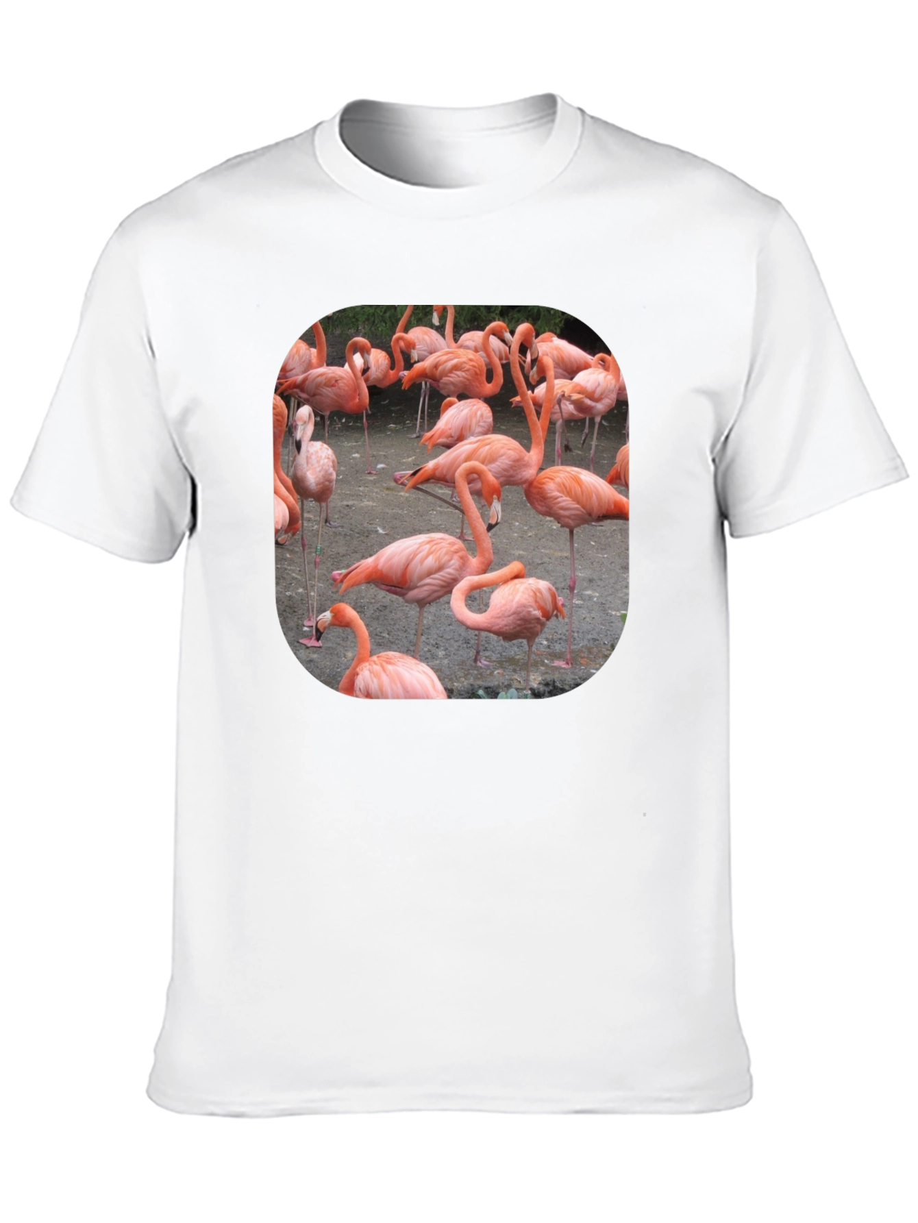 Black Flamingo Graphic Tee - Tropical Bird T-Shirt view 10