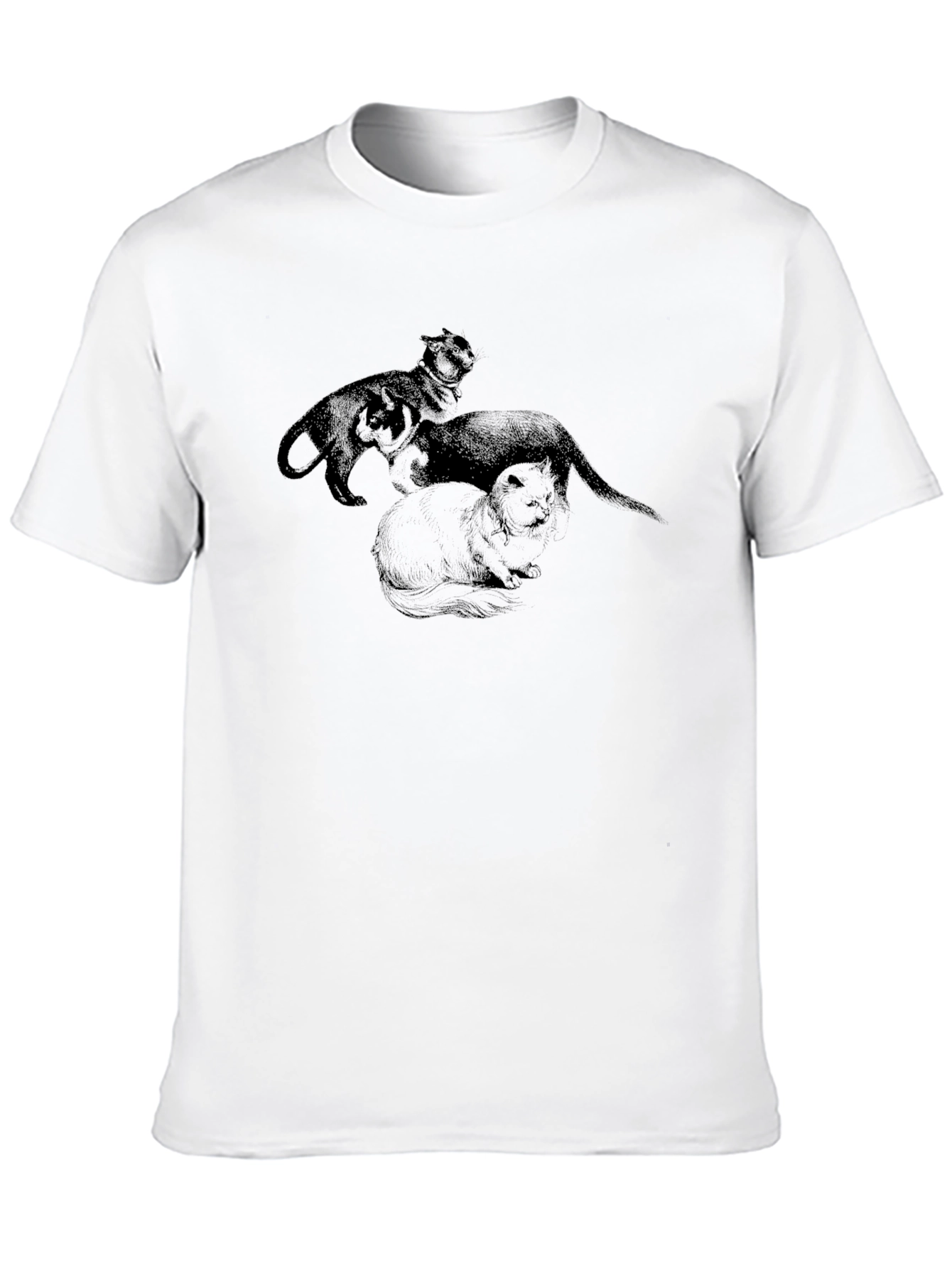 Black Black Cat Trio Graphic Tee view 10