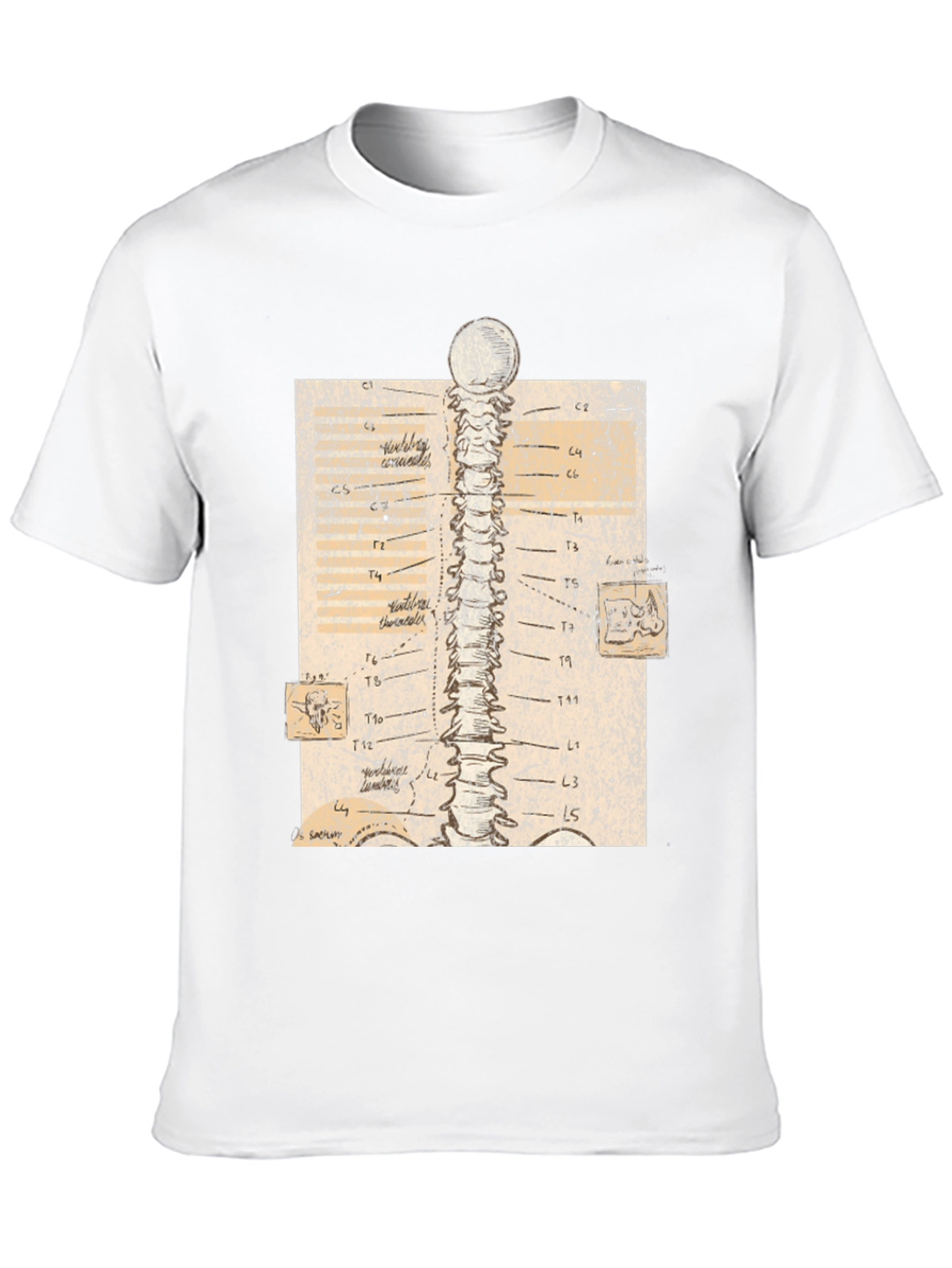Black Anatomical Spine Graphic Tee - Black view 10