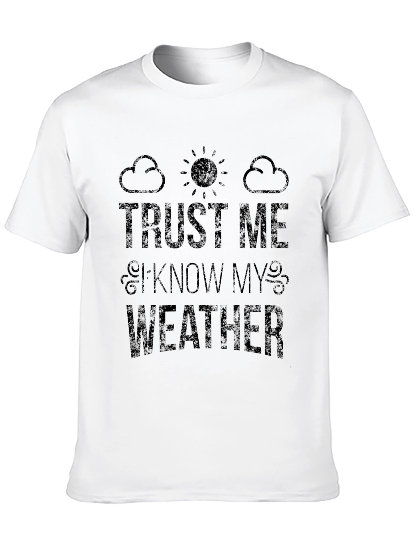 Black Trust Me I Know My Weather Graphic T-Shirt view 10