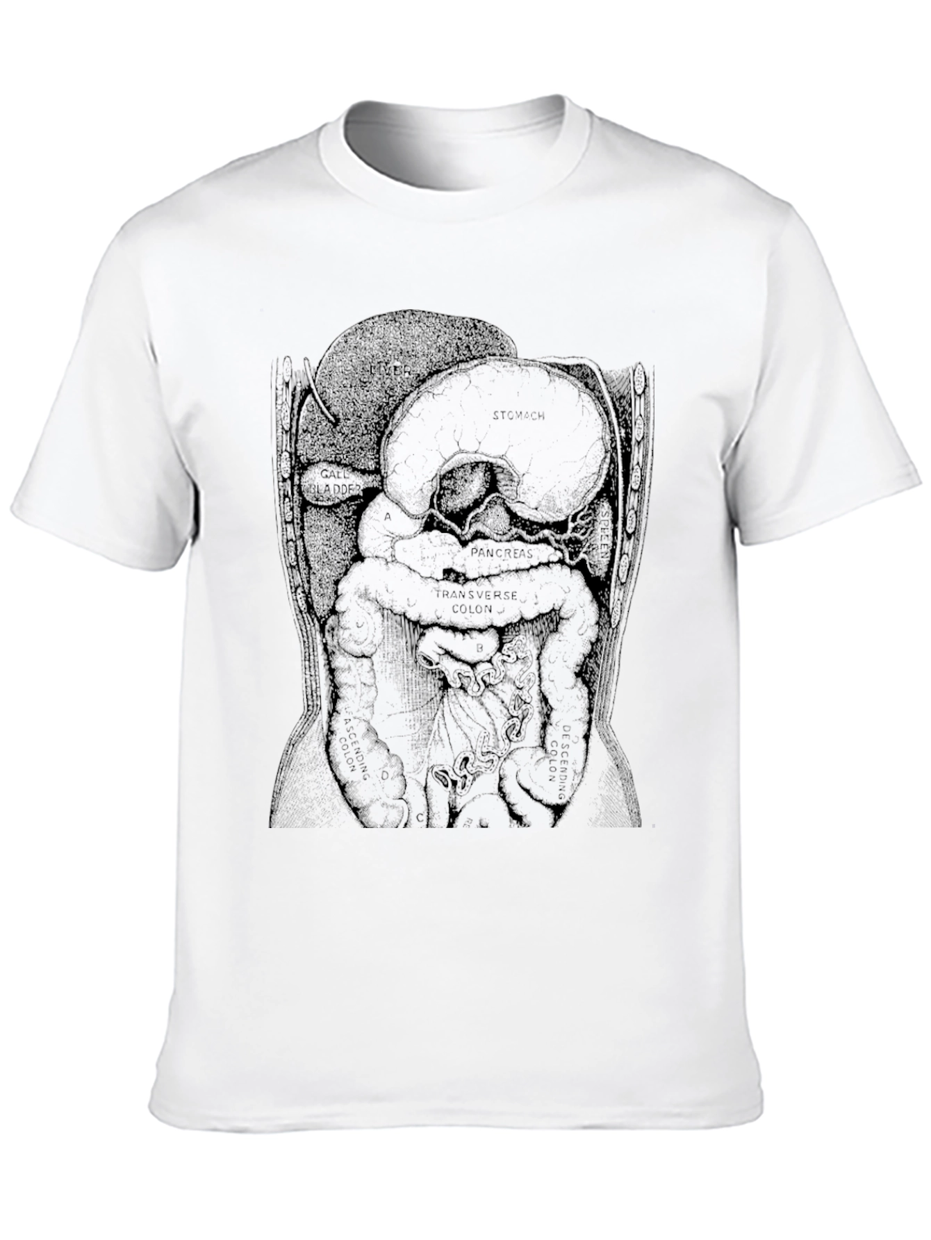 Black Anatomical Diagram T-Shirt - Black view 10