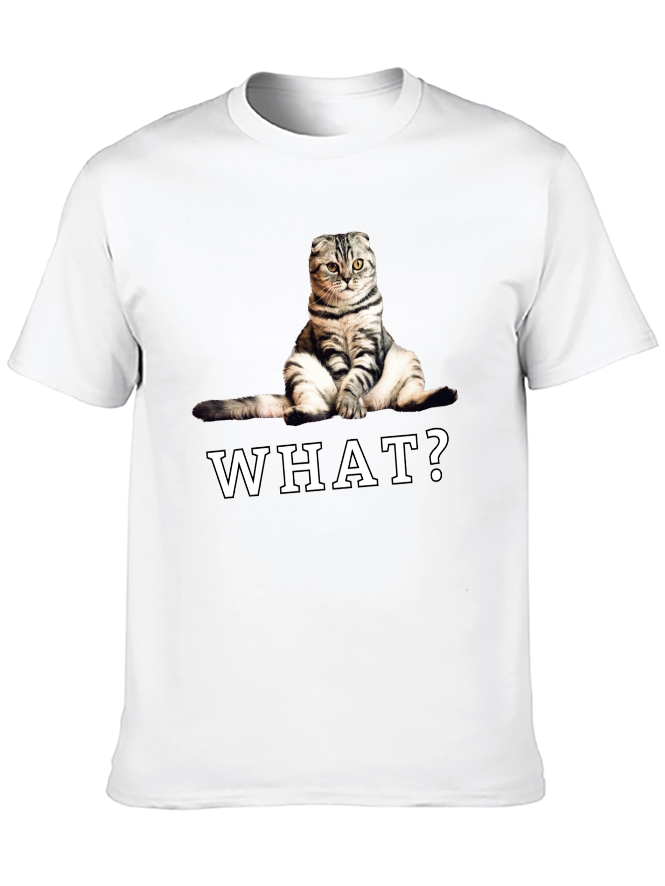 Black Funny Cat "What?" Graphic T-Shirt view 10