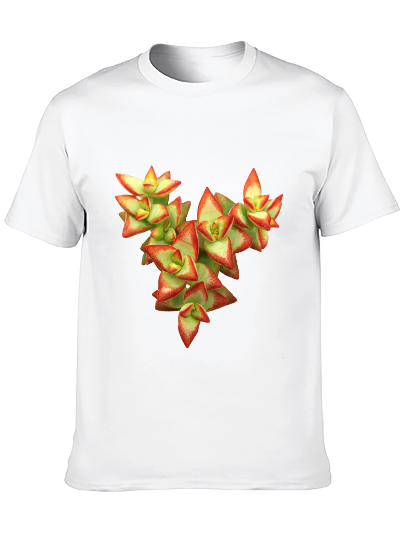 Black Succulent Graphic T-Shirt - Nature Inspired Tee view 10