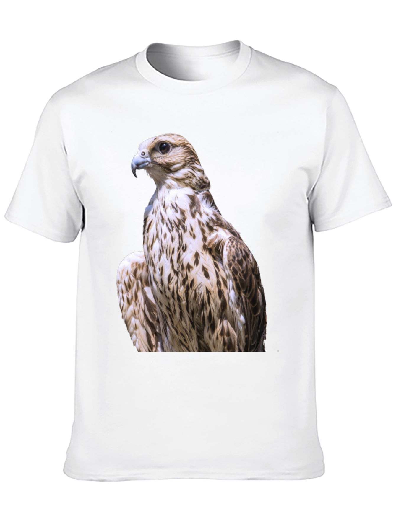 Black Falcon Graphic Tee - Black Cotton Blend view 10