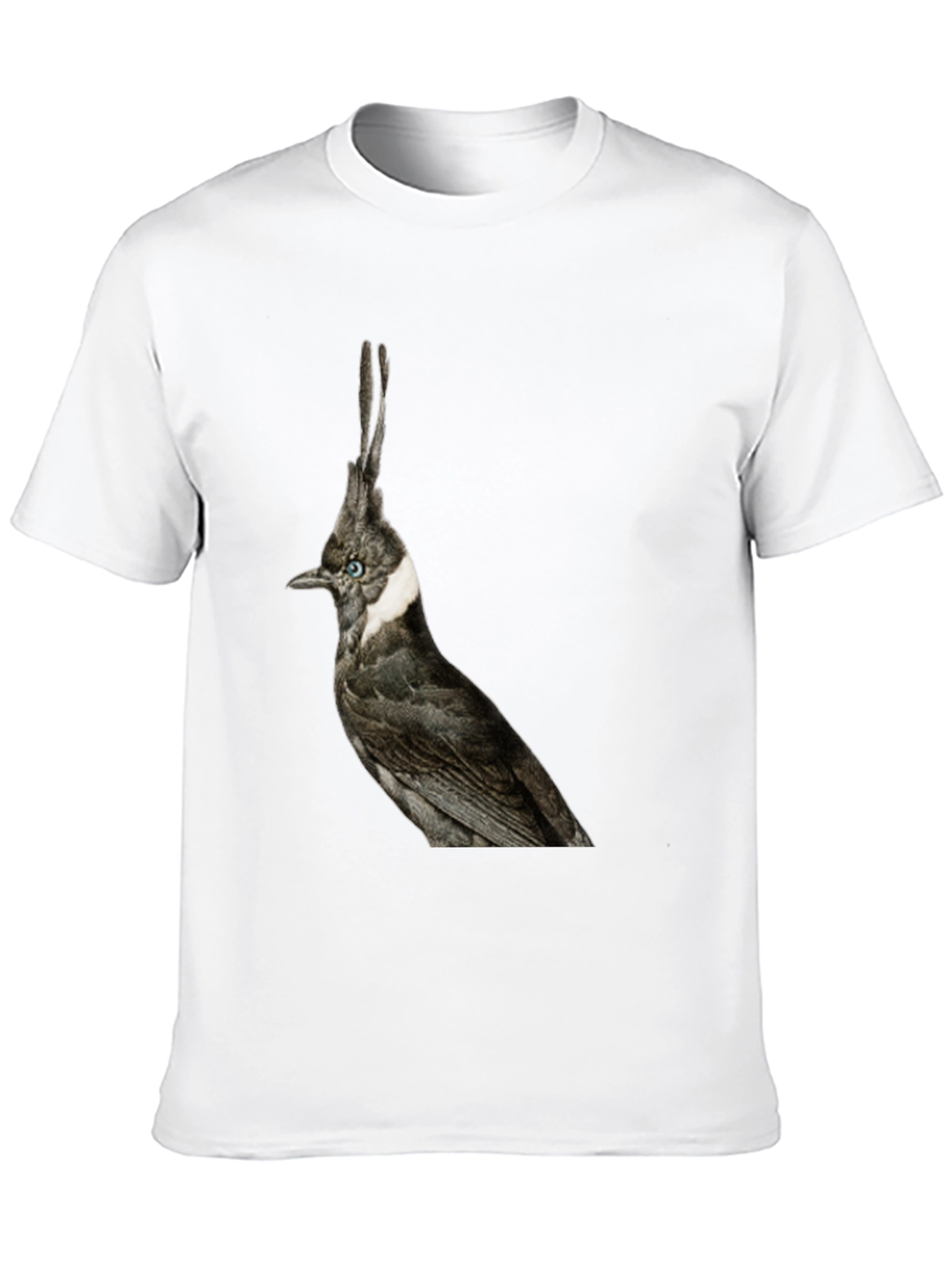 Black Crested Bird Graphic T-Shirt - Unique Style view 10