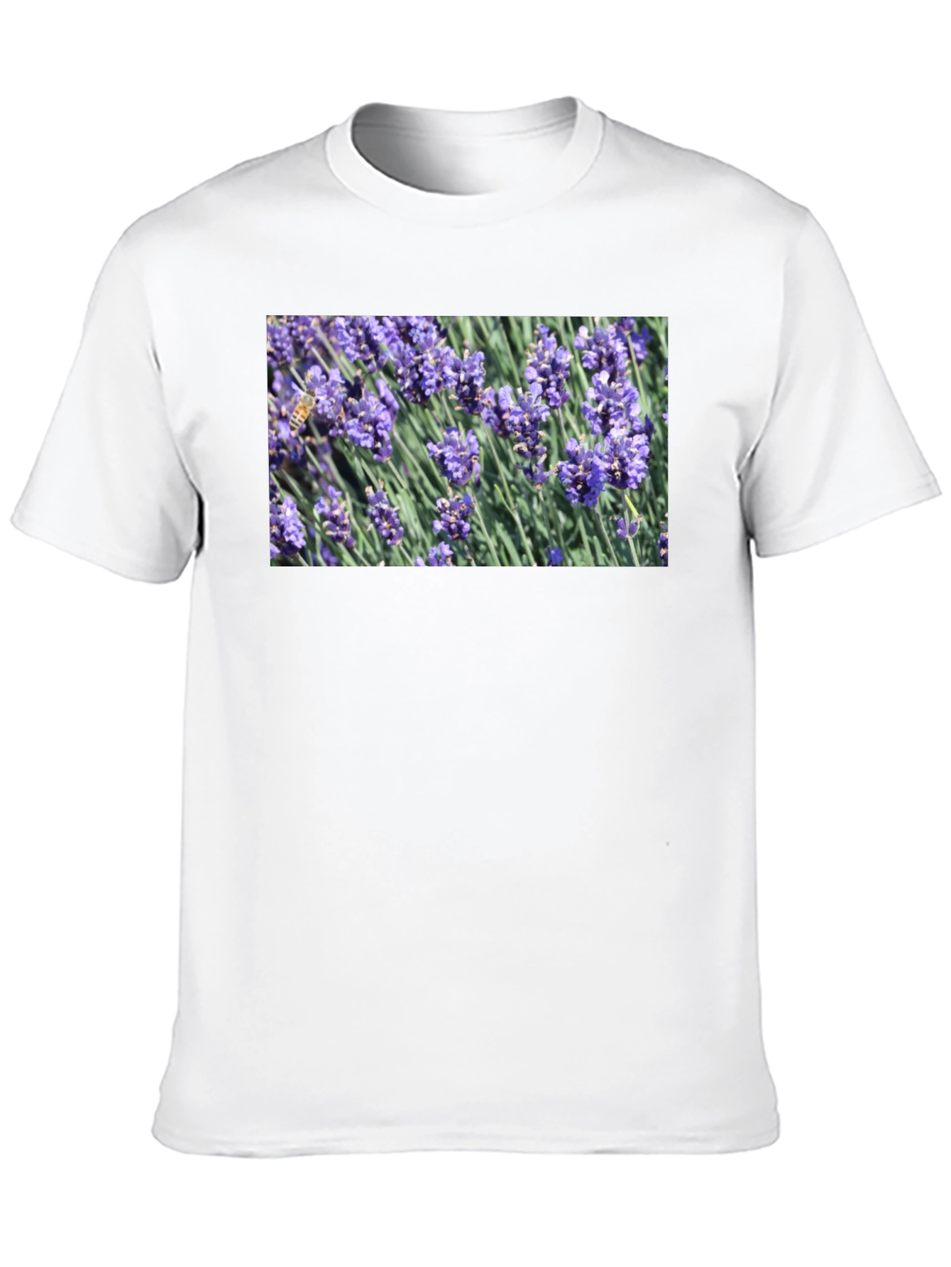 Black Floral Print T-Shirt: Bee on Lavender view 10
