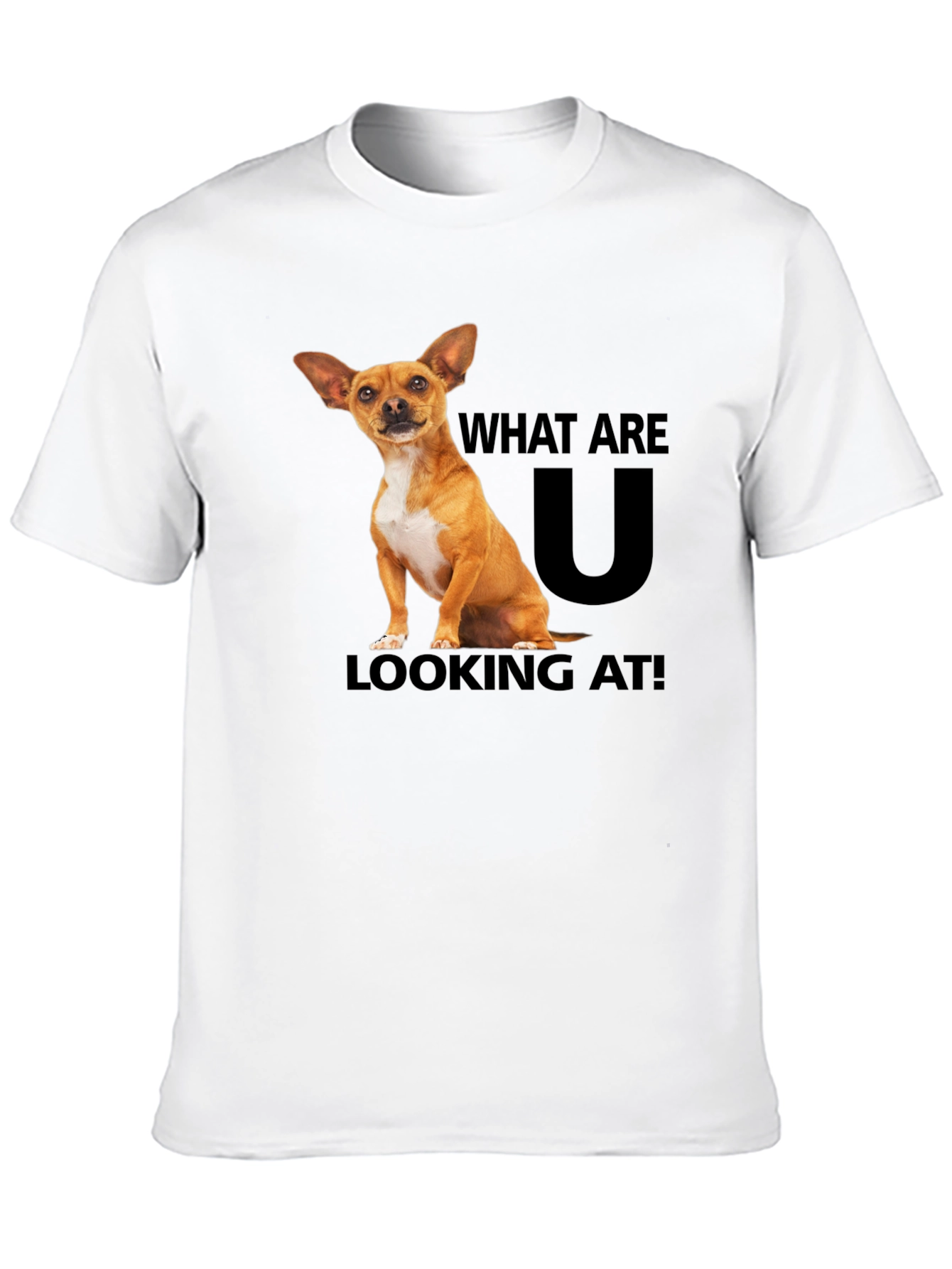 Black Dog T-Shirt: What Are You Looking At? view 10