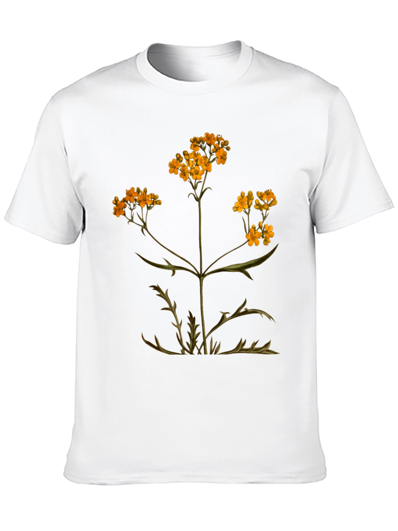 Black Botanical Graphic T-Shirt - Black Cotton Tee view 10