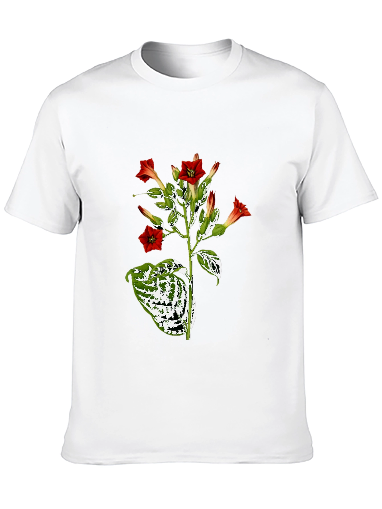 Black Botanical Floral Graphic Tee - Black Cotton T-Shirt view 10