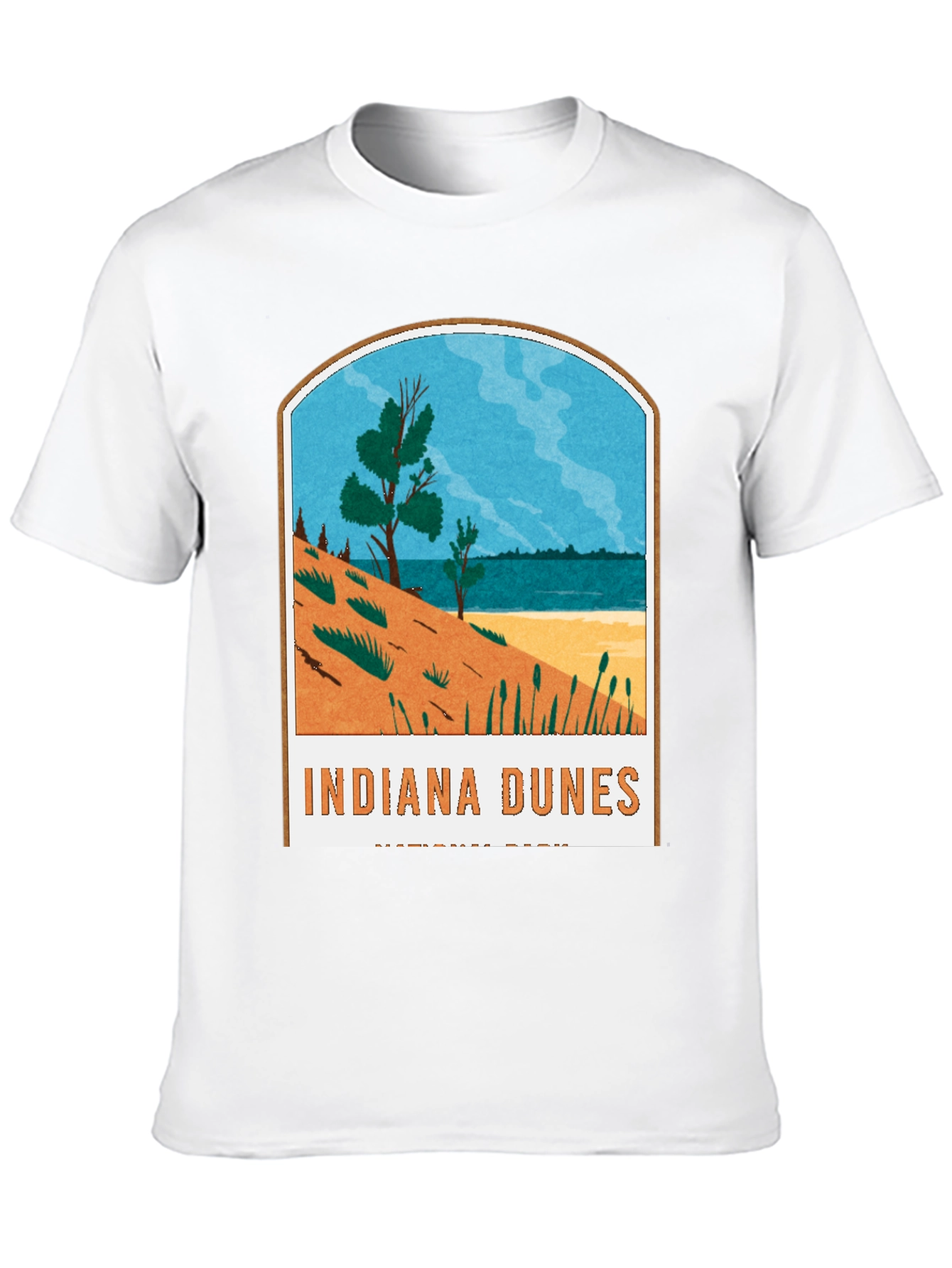 Black Indiana Dunes National Park Graphic Tee view 10