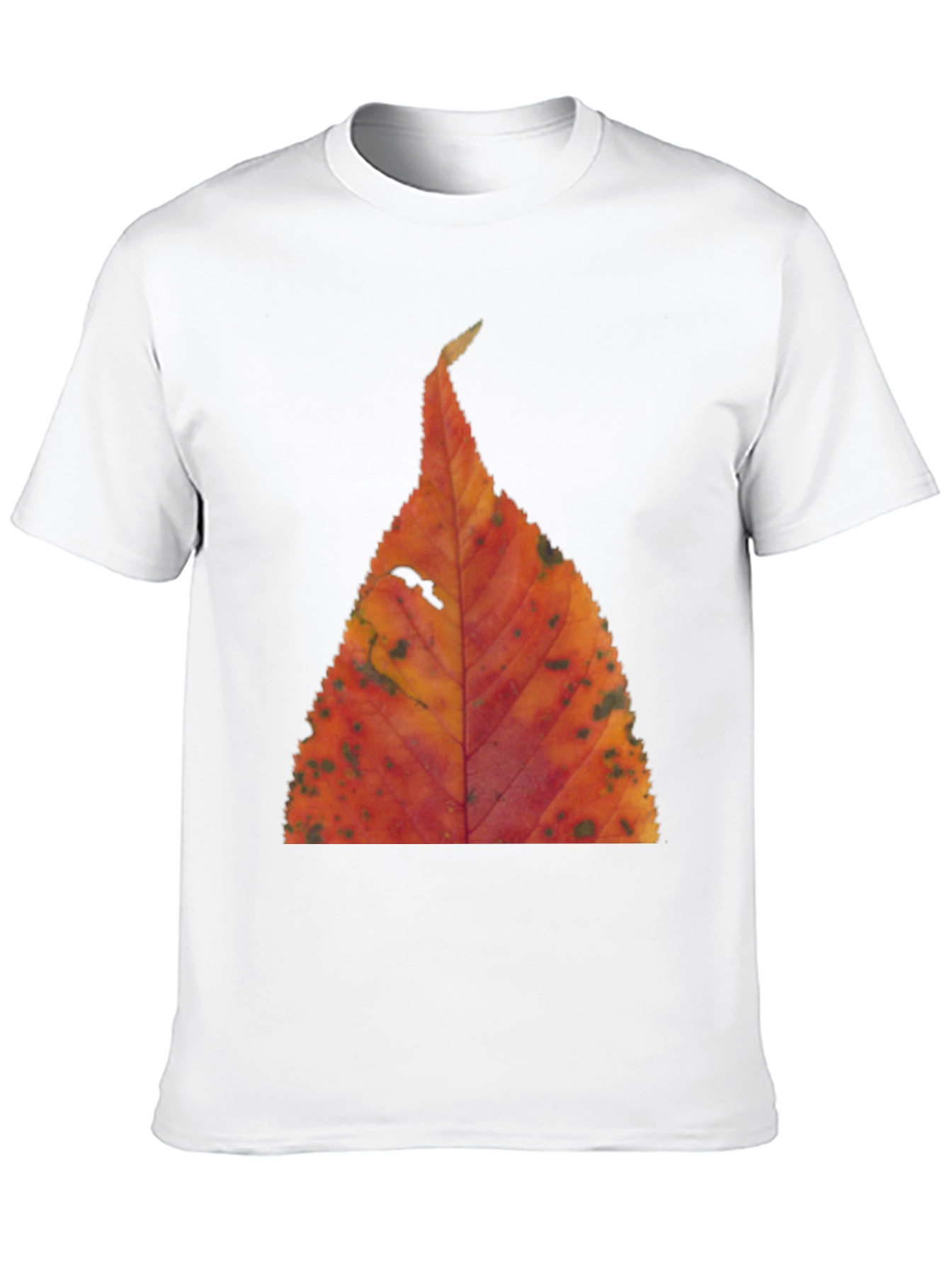 Black Fall Leaf Print Black T-Shirt view 10