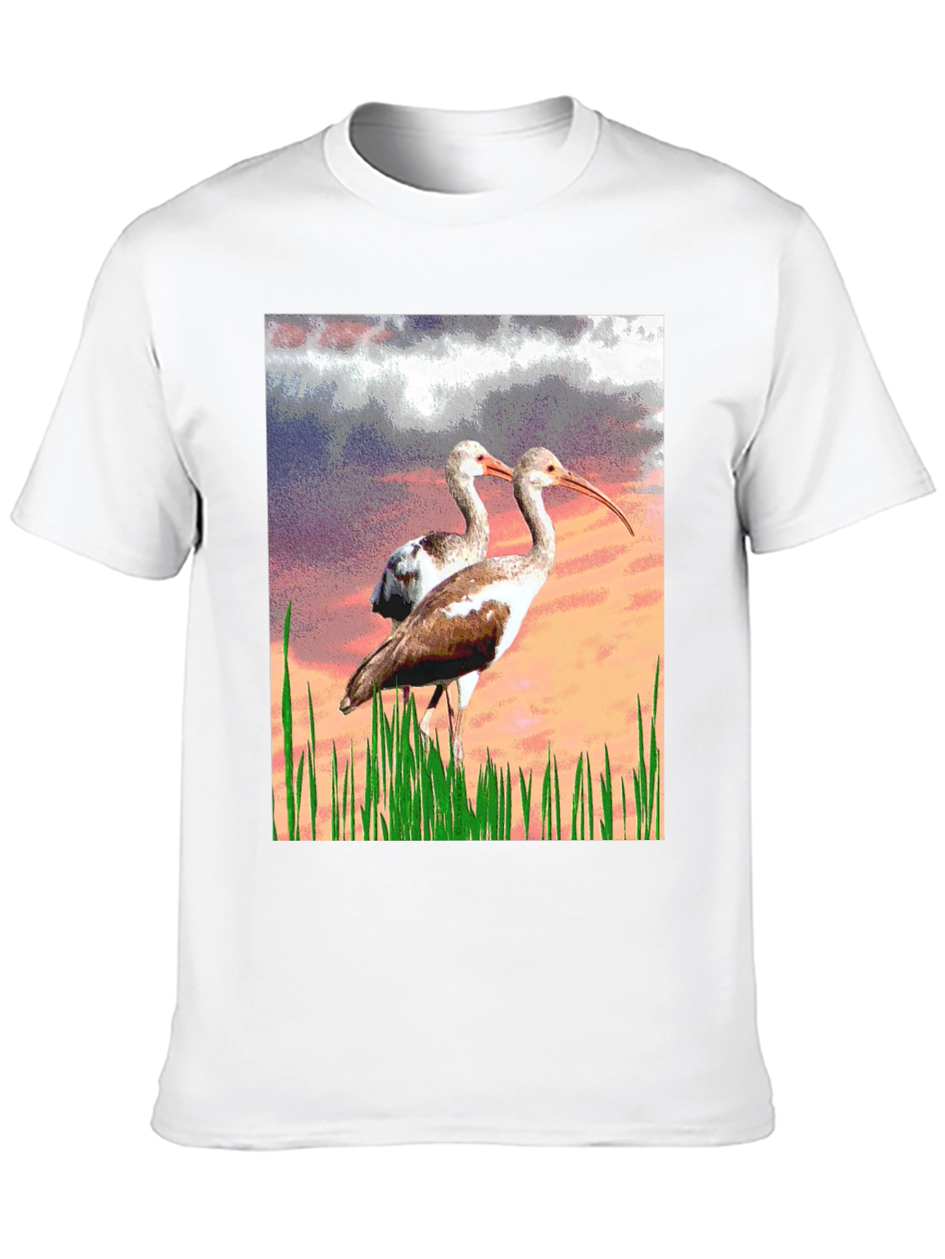 Black Ibis Bird Graphic Print Black T-Shirt view 10
