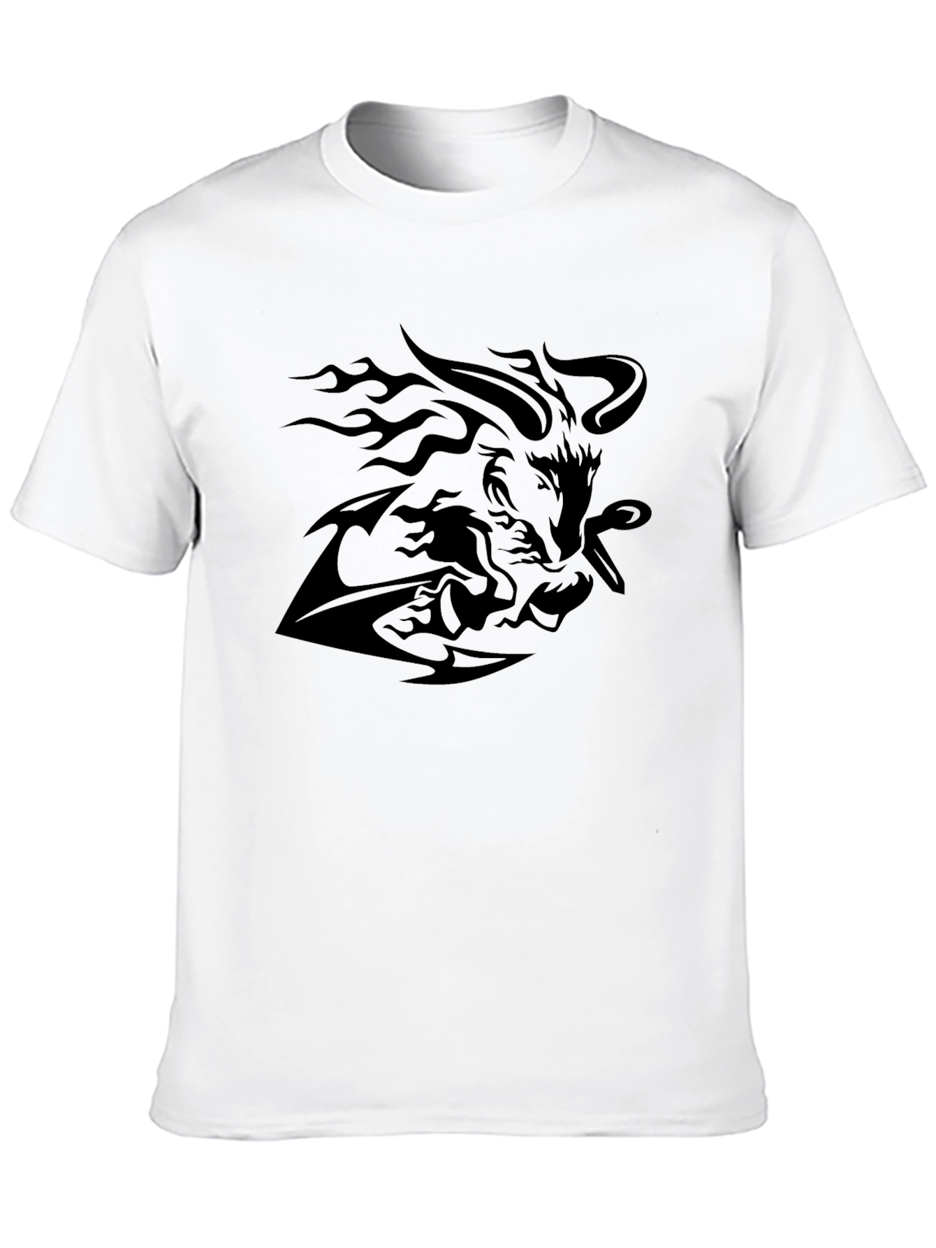 Black Black Graphic Tee - Lion & Flames view 10