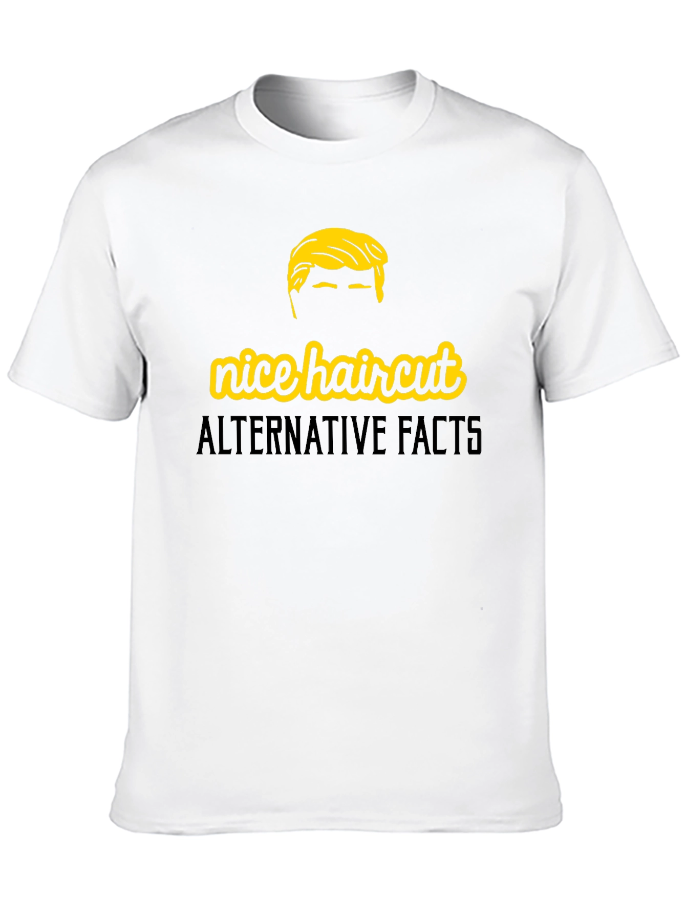 Black Nice Haircut Alternative Facts Graphic T-Shirt view 10