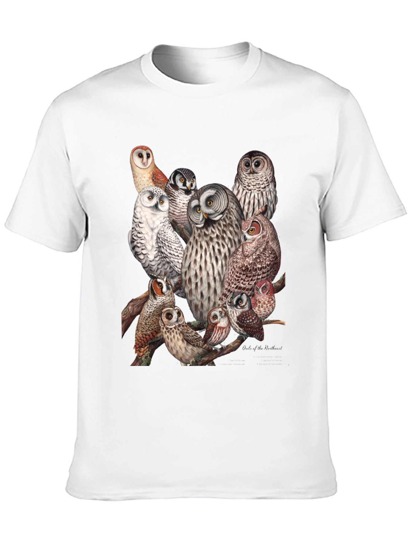 Black Owl Print Black T-Shirt view 10