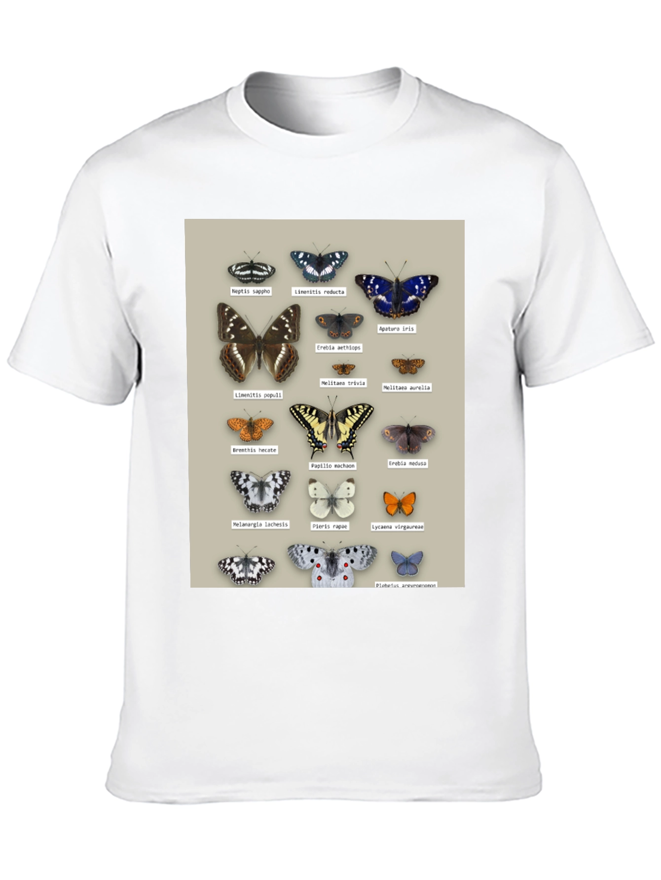 Black Butterfly Print T-Shirt | Nature Lover Apparel view 10