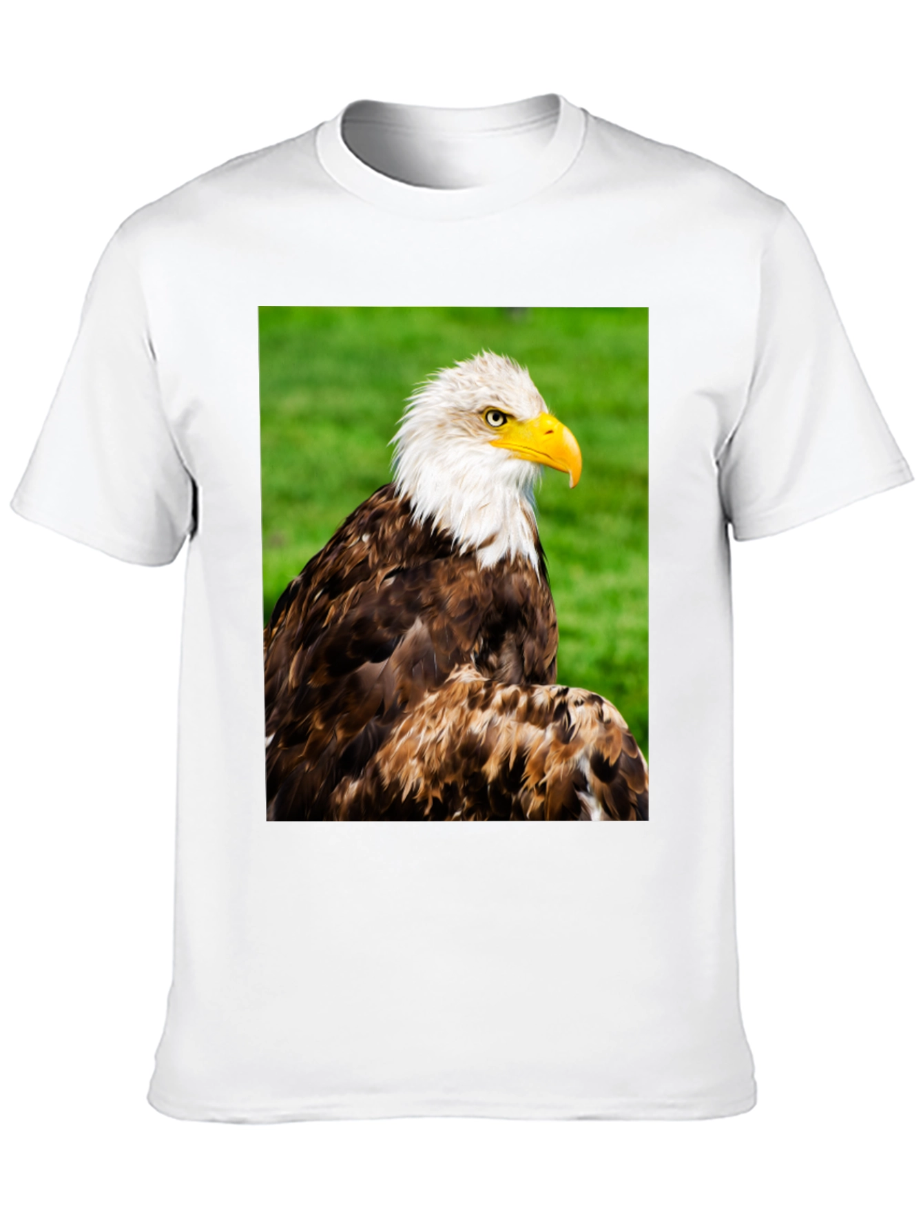 Black Bald Eagle Graphic T-Shirt view 10