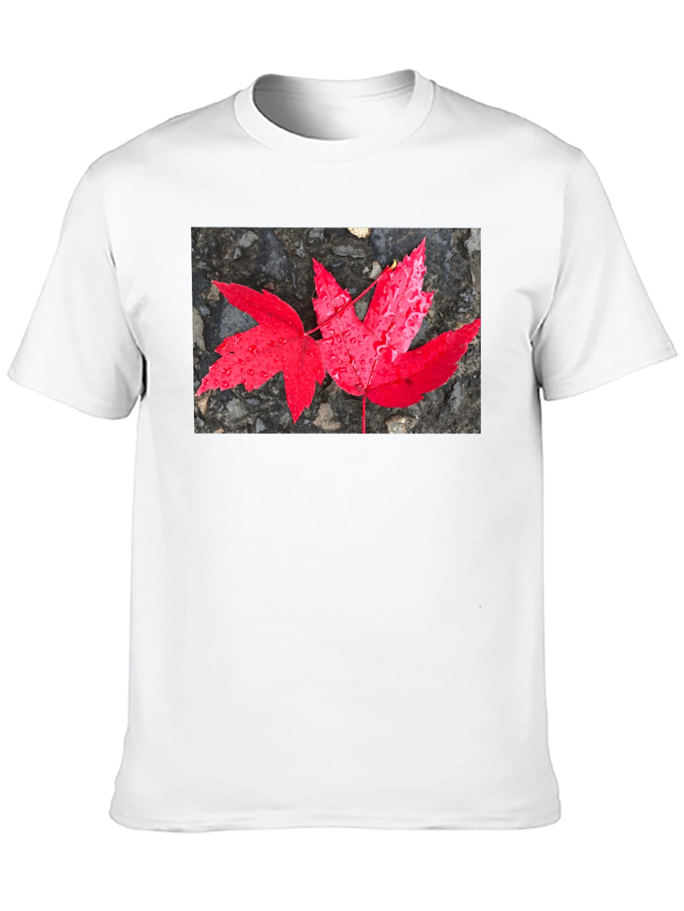Black Red Maple Leaf Graphic T-Shirt view 10