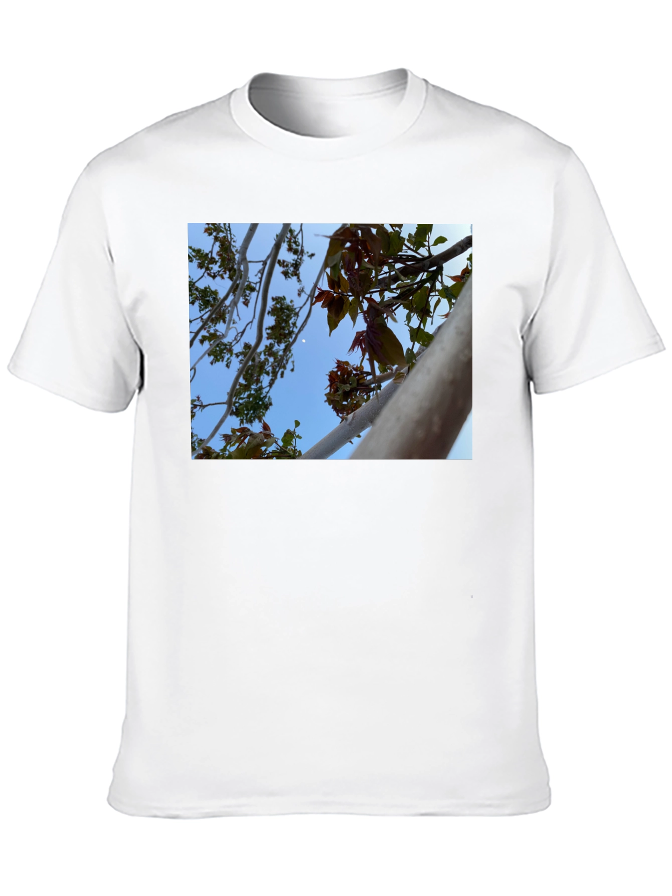 Black Nature View T-Shirt - Branches & Sky Design view 10