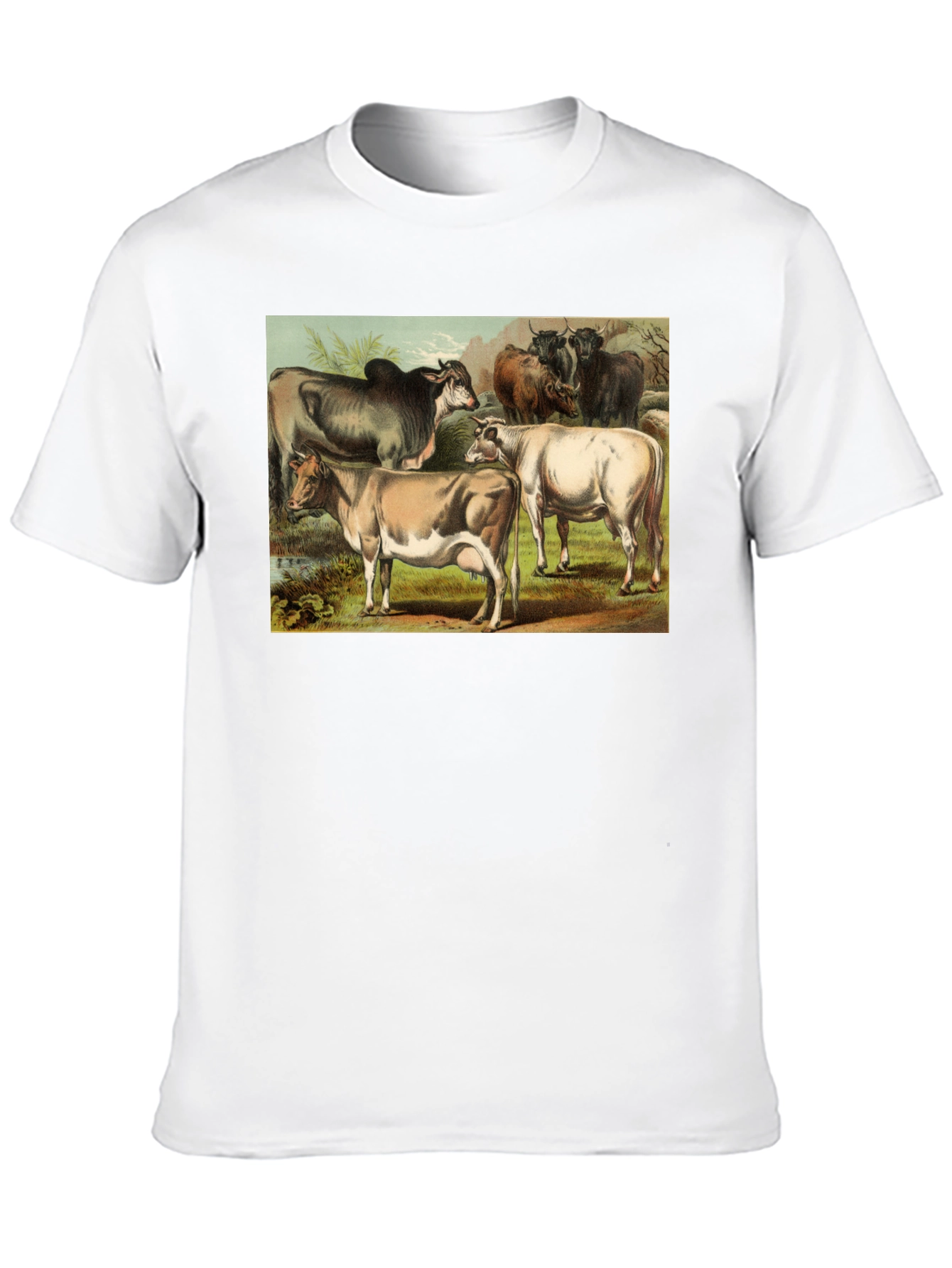 Black Vintage Cows Graphic Black T-Shirt view 10