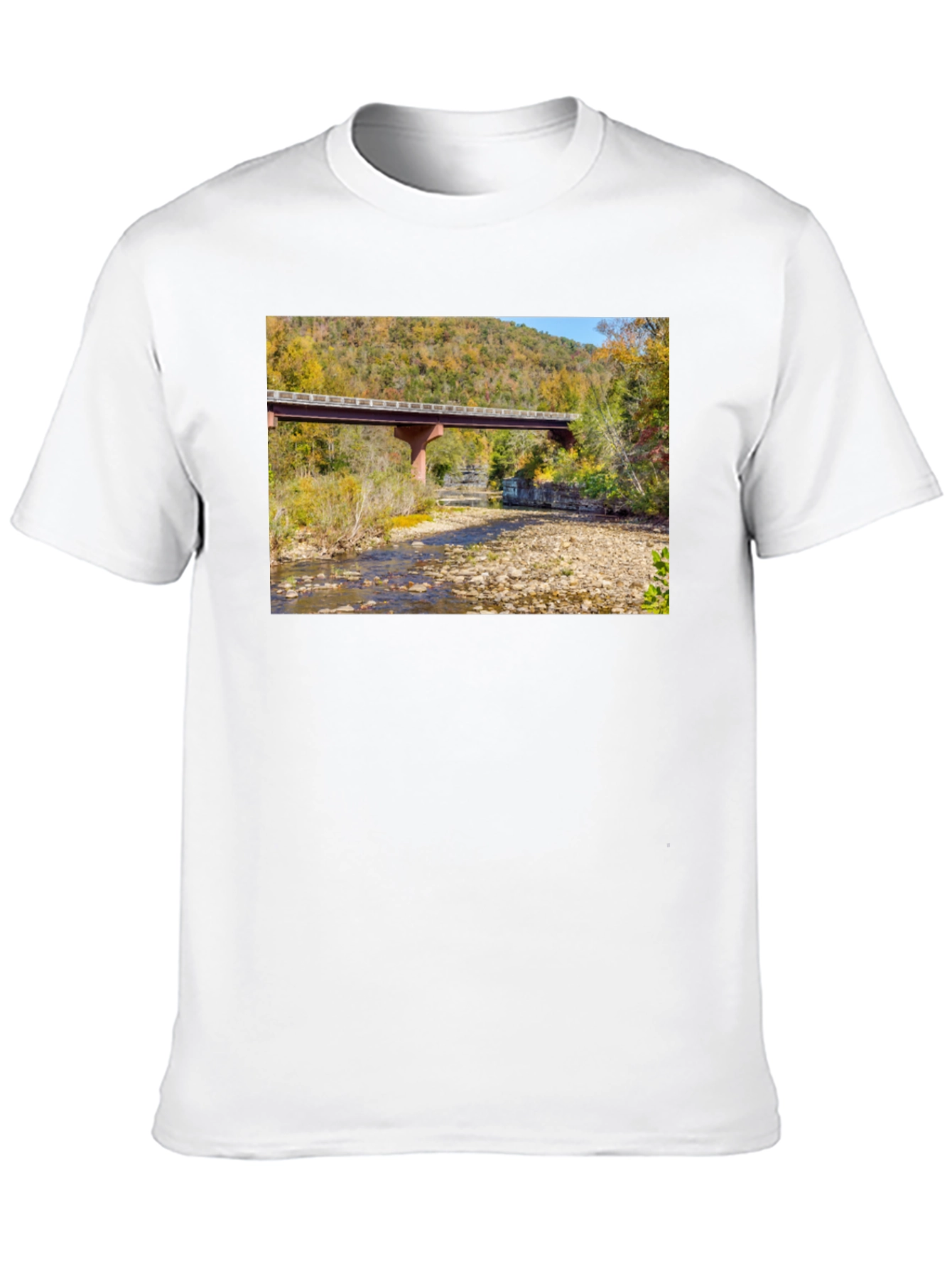 Black Nature Bridge Graphic Tee - Black Cotton Blend view 10