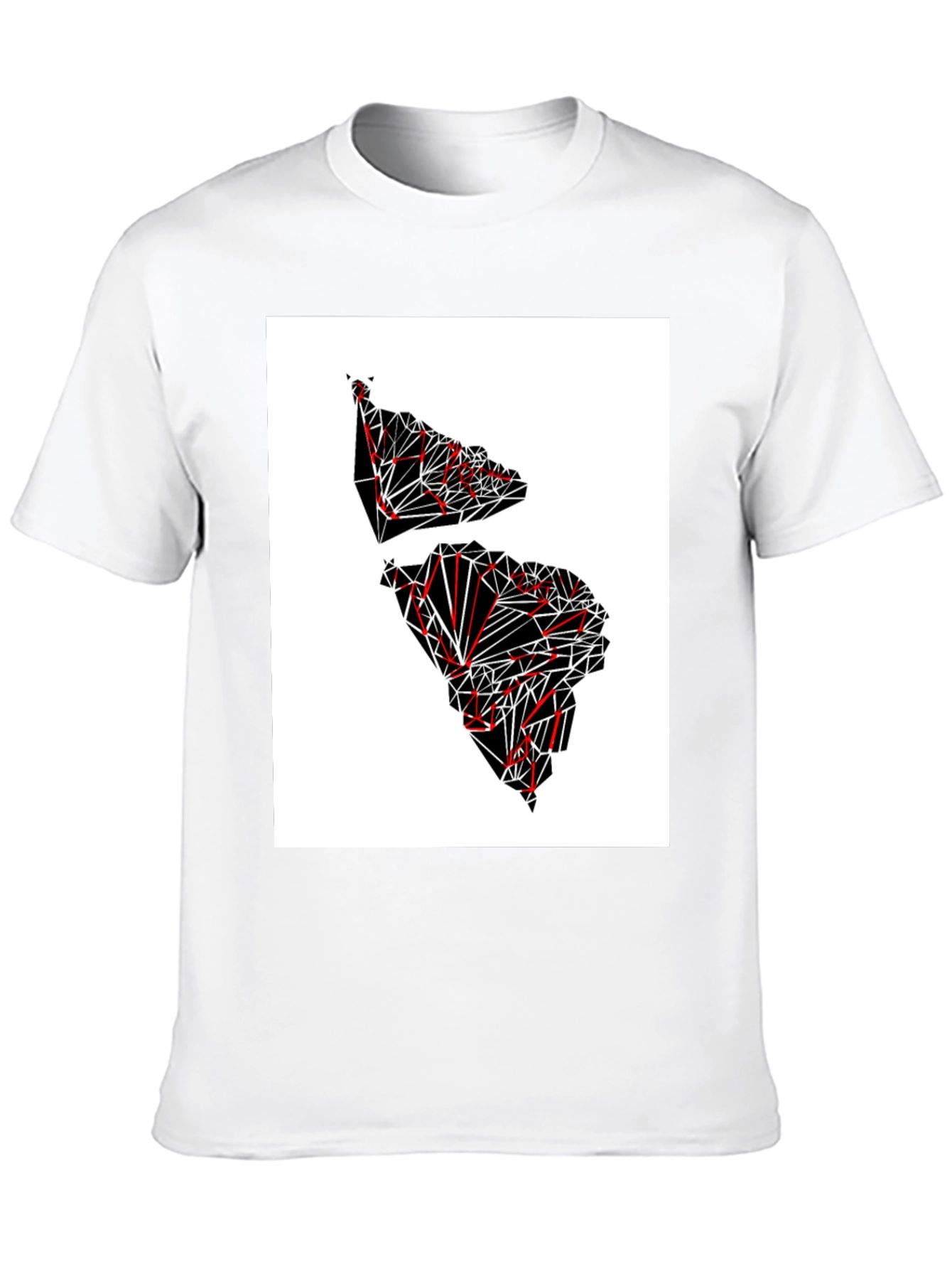 Black Geometric Continent Graphic Tee - Black view 10