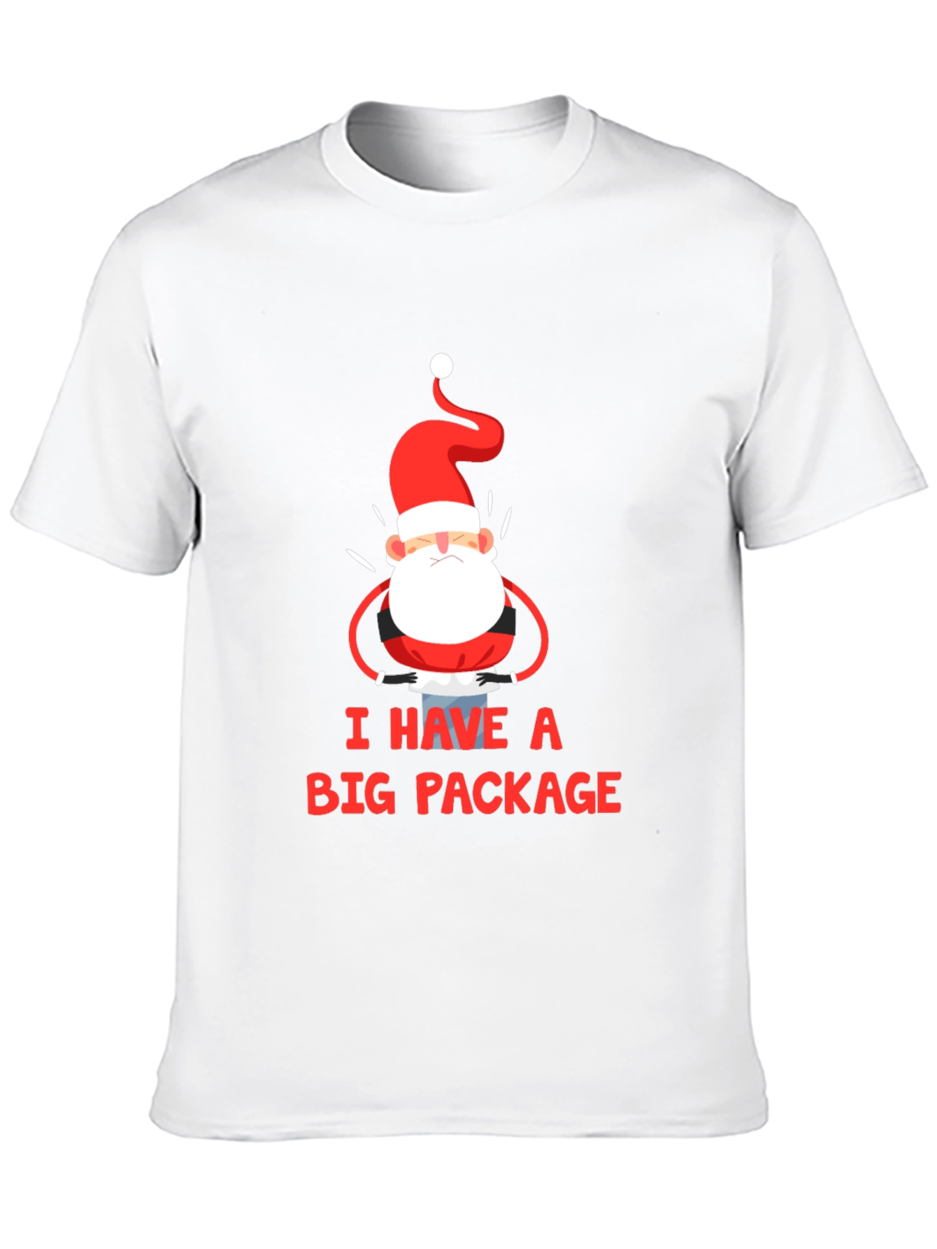 Black I Have a Big Package Graphic Tee Santa Christmas Holiday Shirt view 10