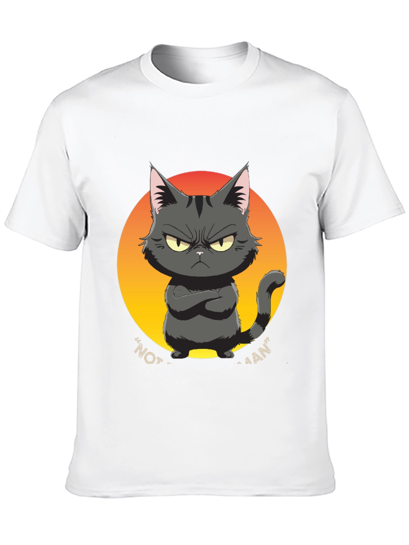 Black Grumpy Cat Graphic Tee - "Not a Fan" Black T-Shirt view 10