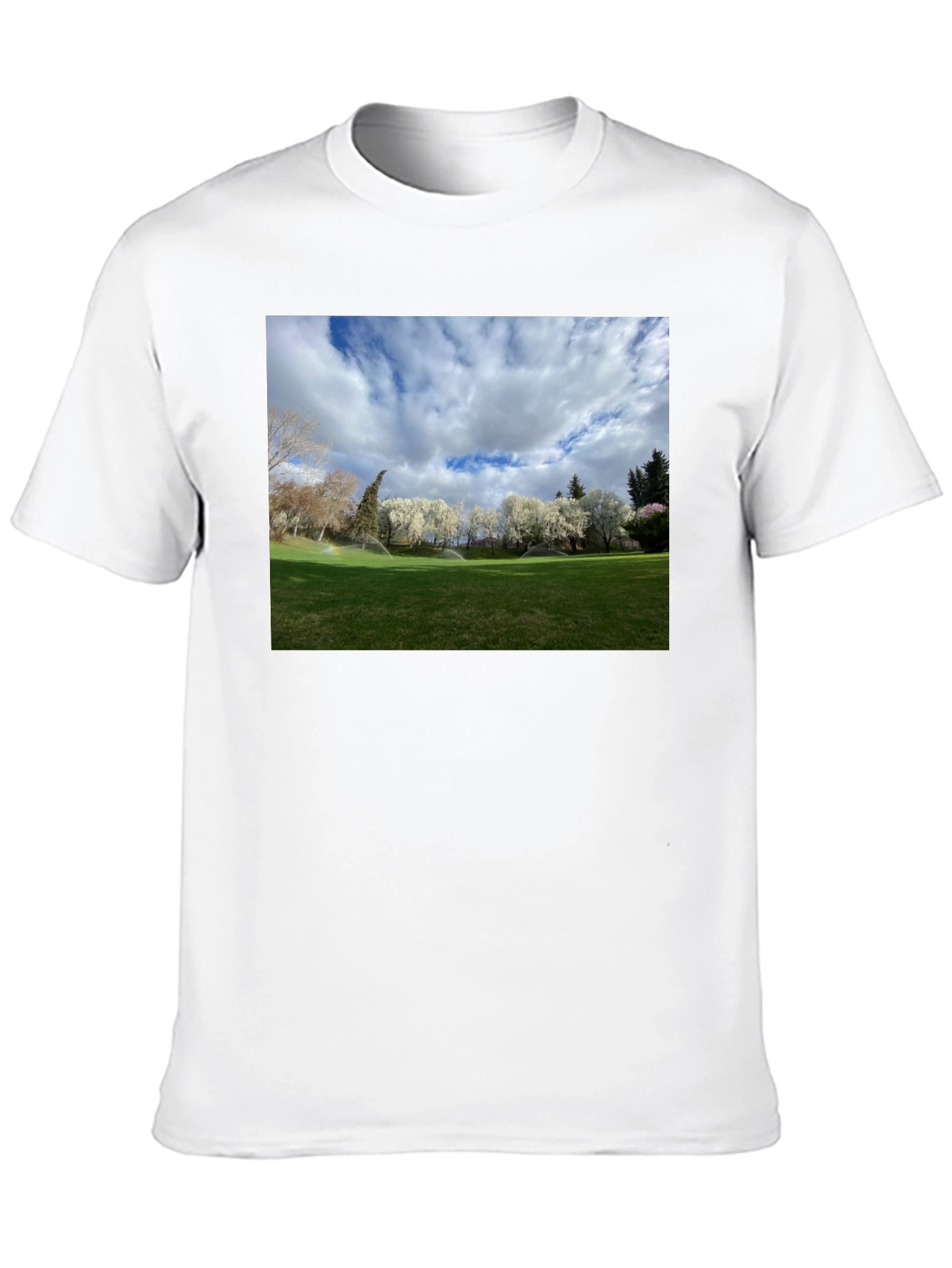 Black Scenic Landscape Graphic Tee - Cotton Comfort view 10