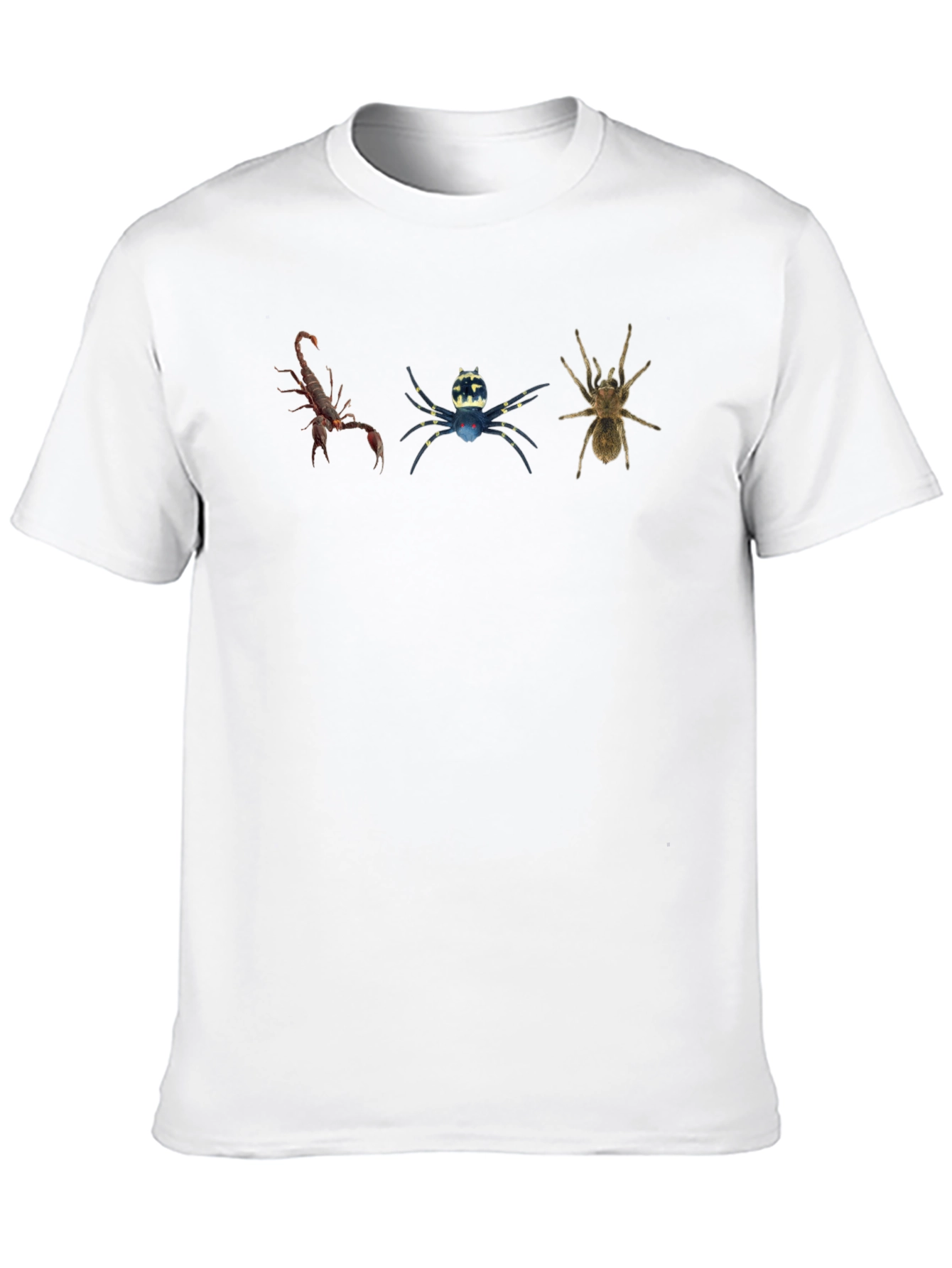 Black Arachnid Trio Graphic Tee view 10