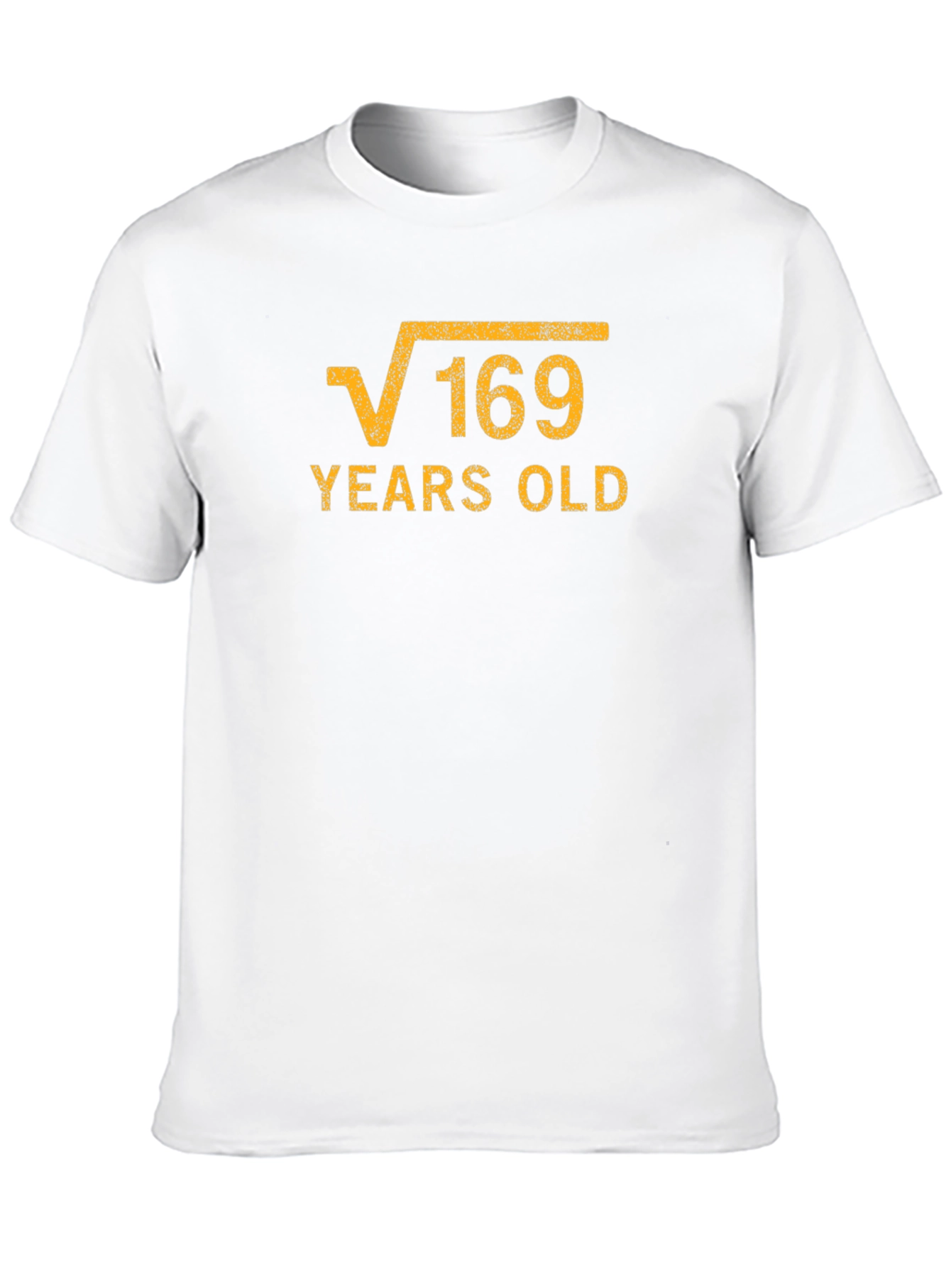 Black Funny 13th Birthday Square Root of 169 T-Shirt view 10