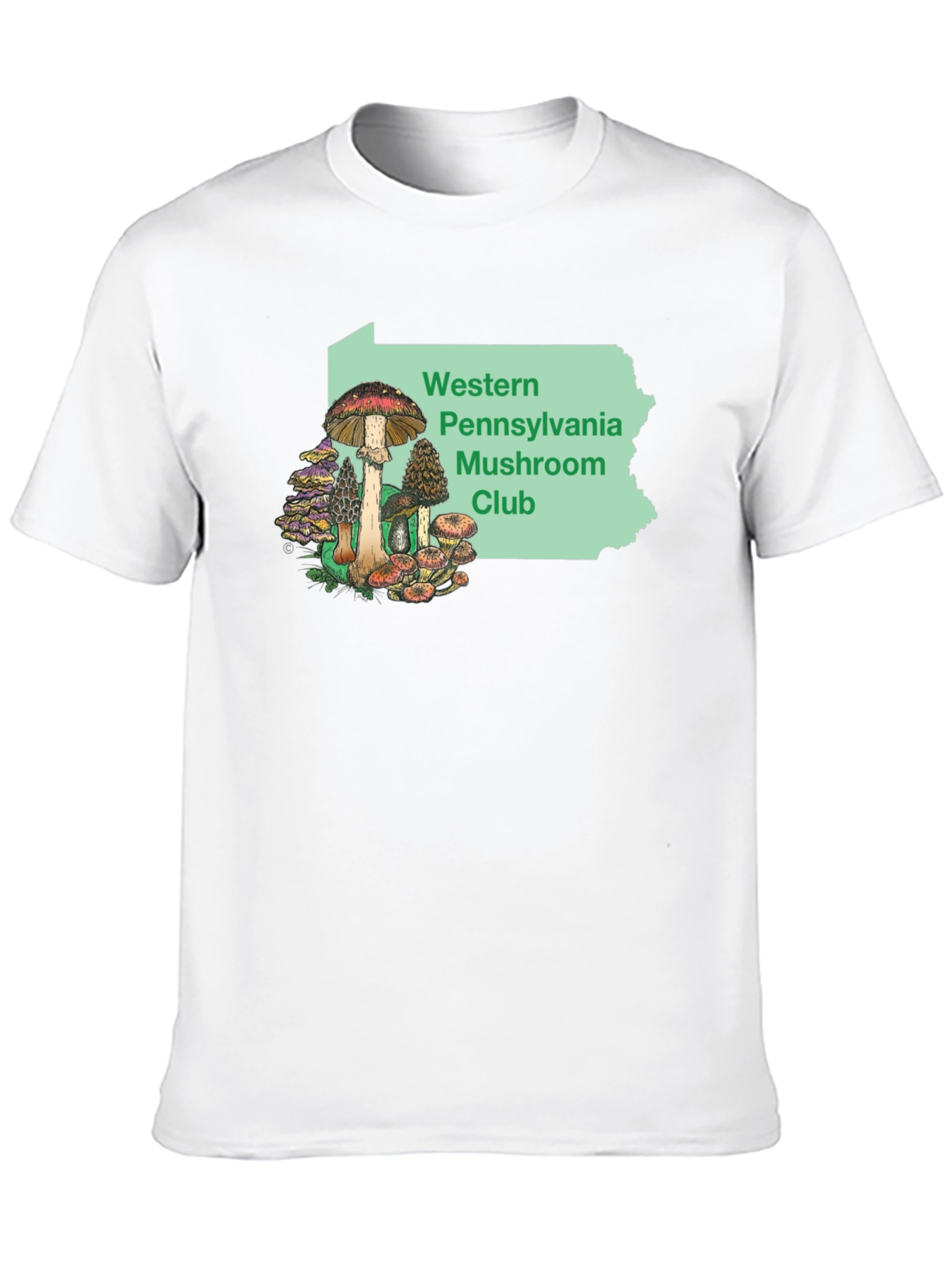 Black Western PA Mushroom Club T-Shirt view 10