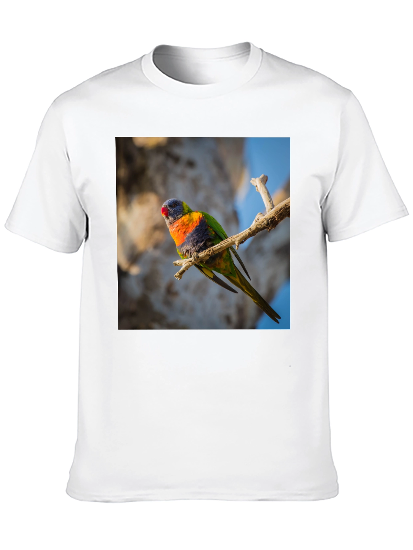 Black Rainbow Lorikeet T-Shirt - Nature Inspired Apparel view 10