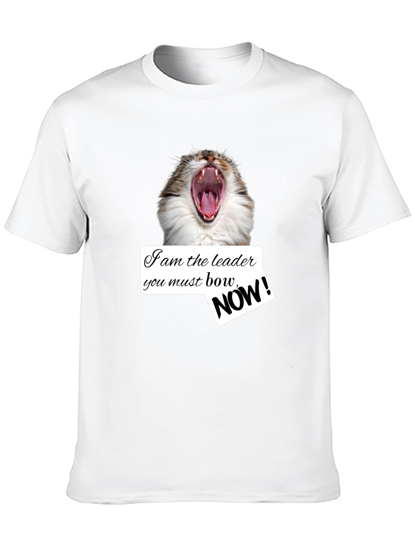 Black Funny Cat T-Shirt - I am the Leader Bow NOW! - Black view 10