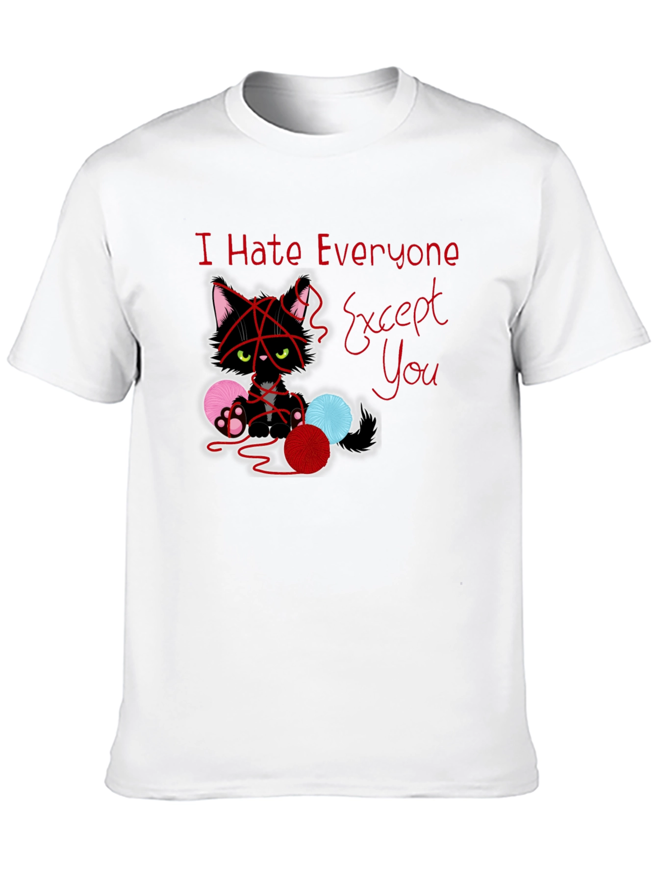 Black I Hate Everyone Except You Cat T-Shirt view 10