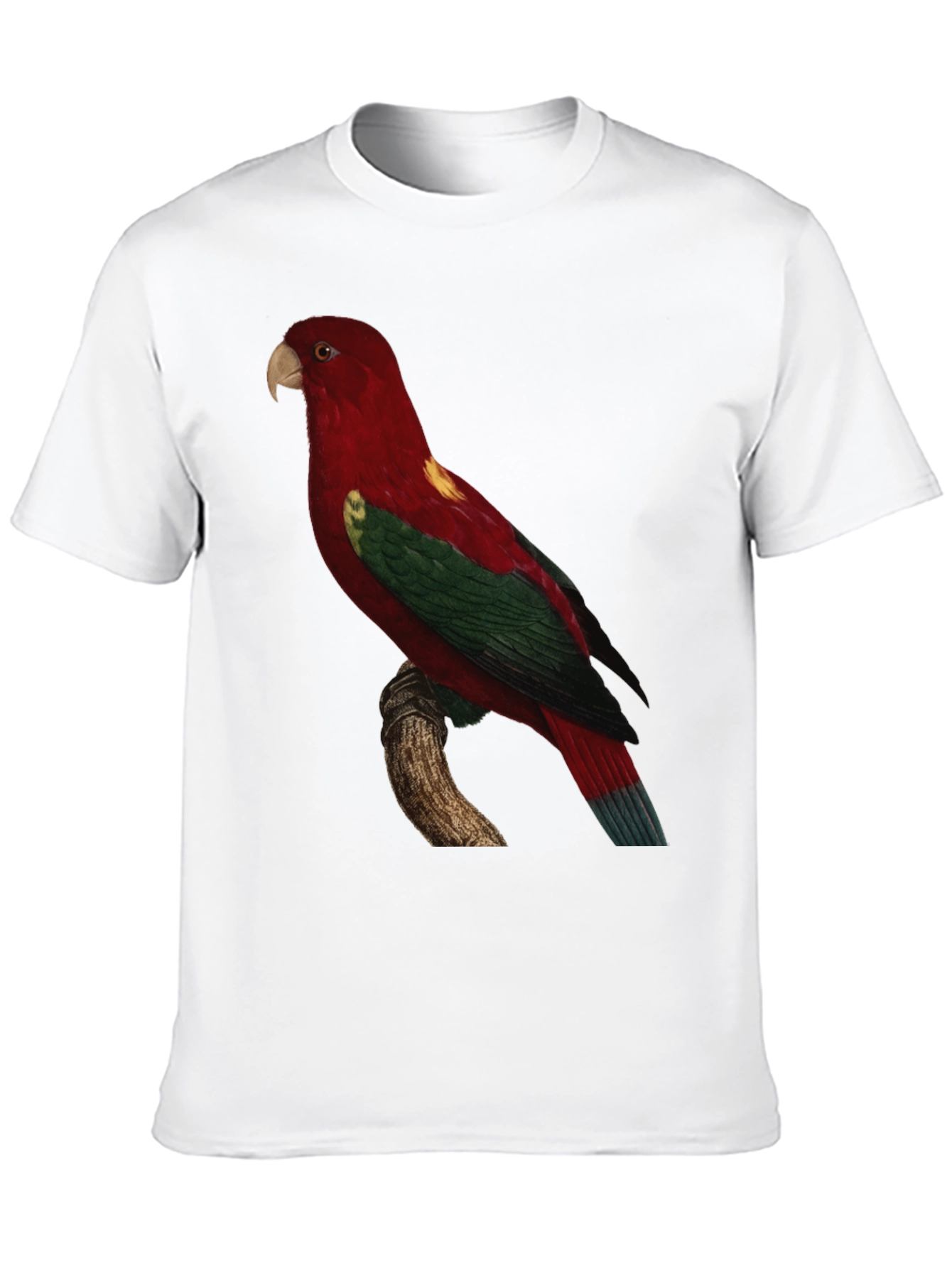 Black Parrot Print Crewneck T-Shirt view 10