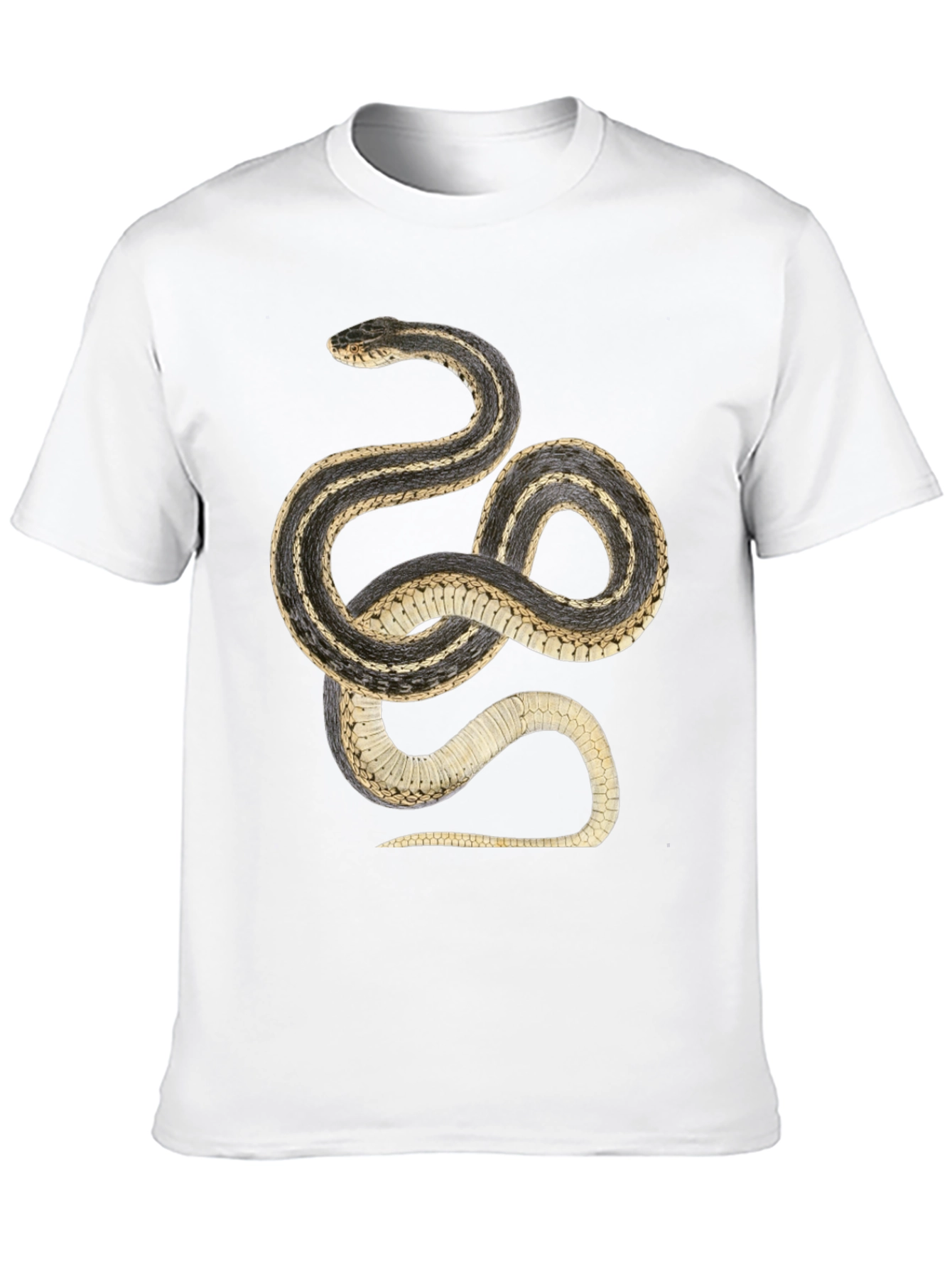 Black Snake Graphic T-Shirt - Black Cotton Tee view 10