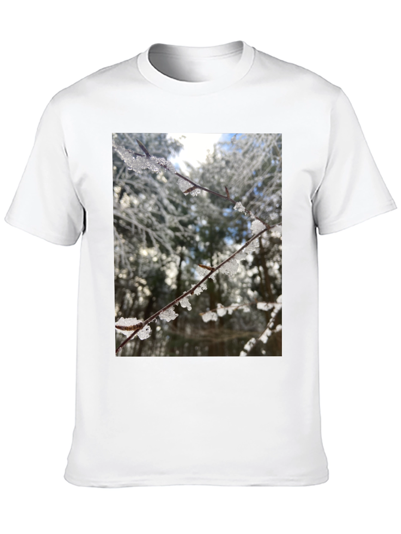 Black Winter Branch Graphic Tee - Nature Inspired Design view 10