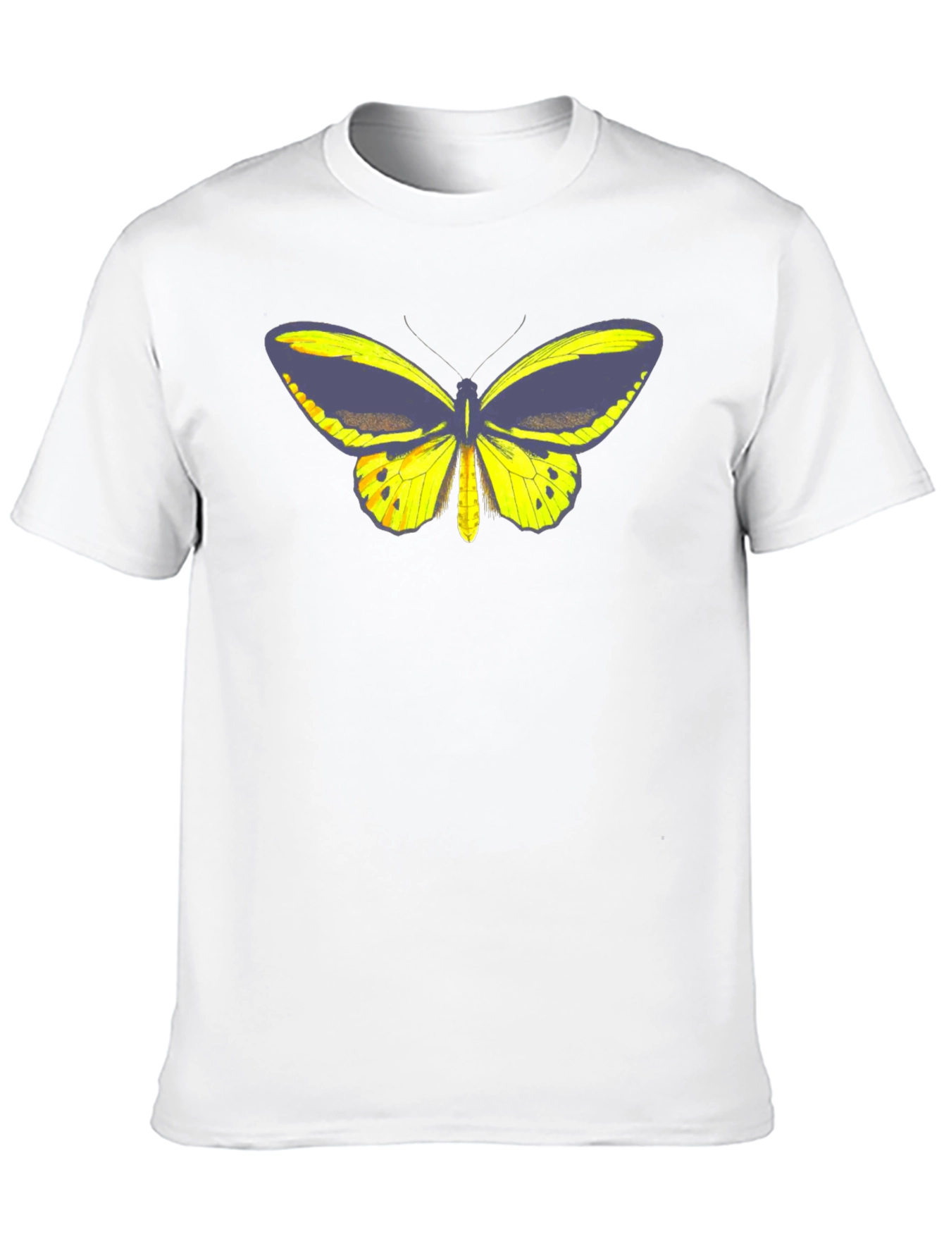 Black Butterfly Graphic Tee - Black Cotton Casual T-Shirt view 10